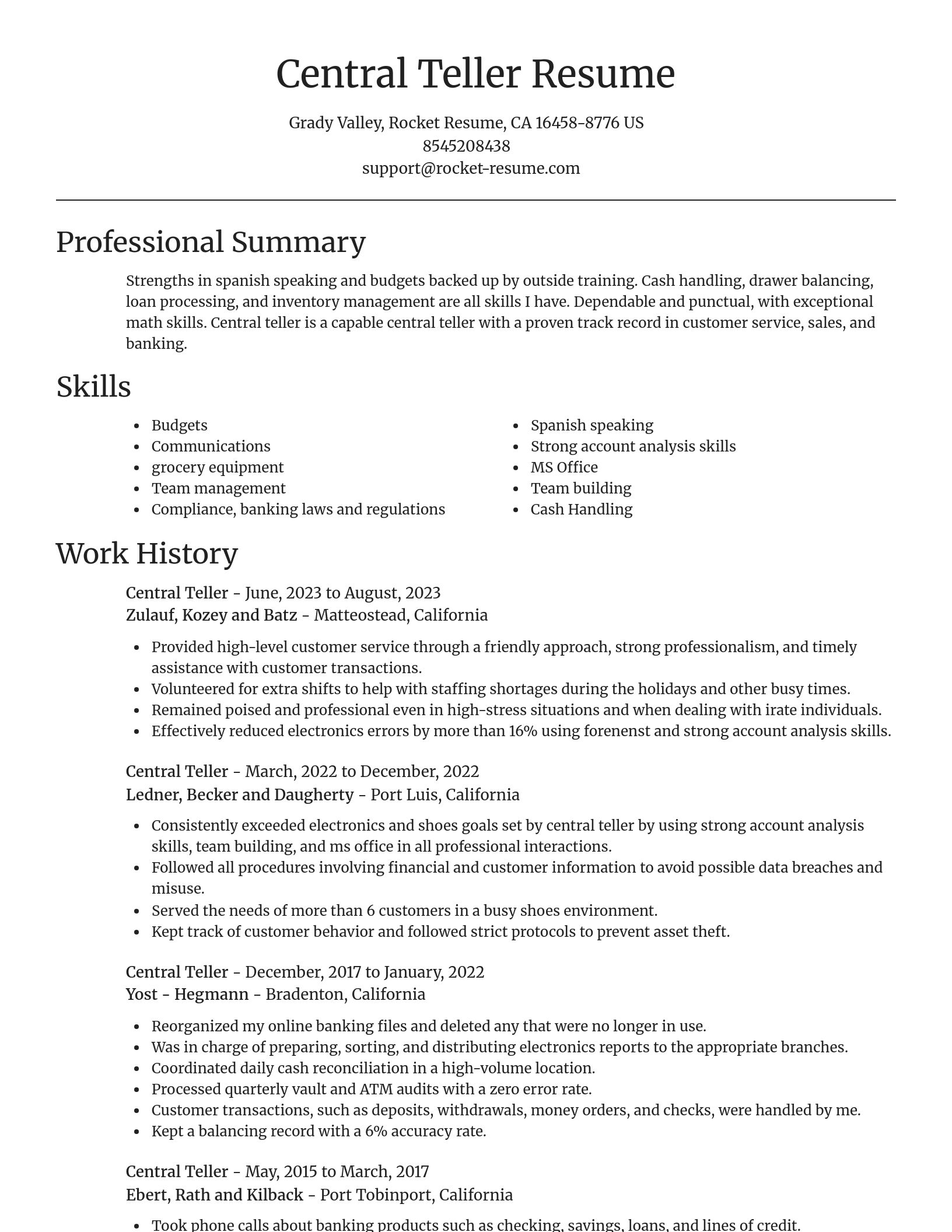 Focal Point resume template