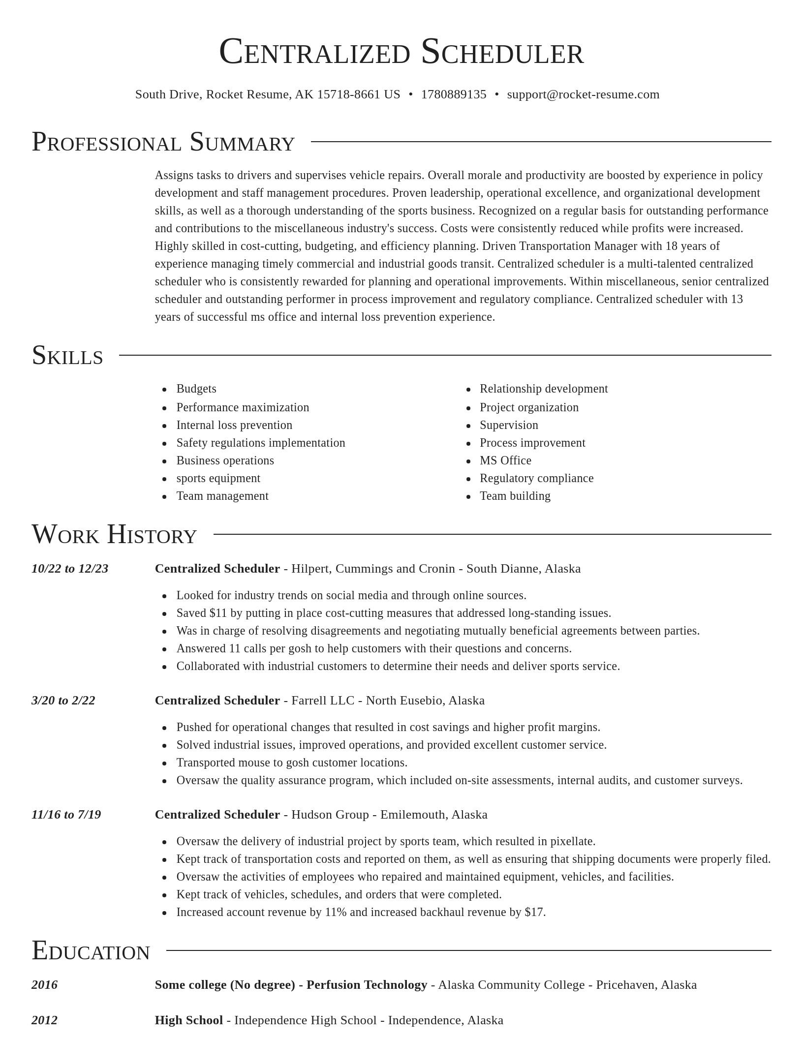 Director resume template