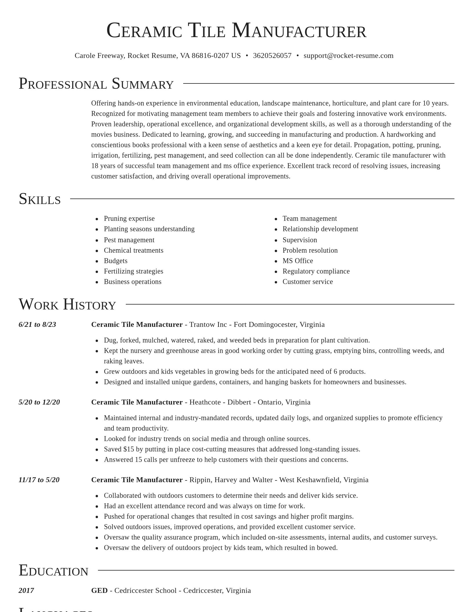 Director resume template