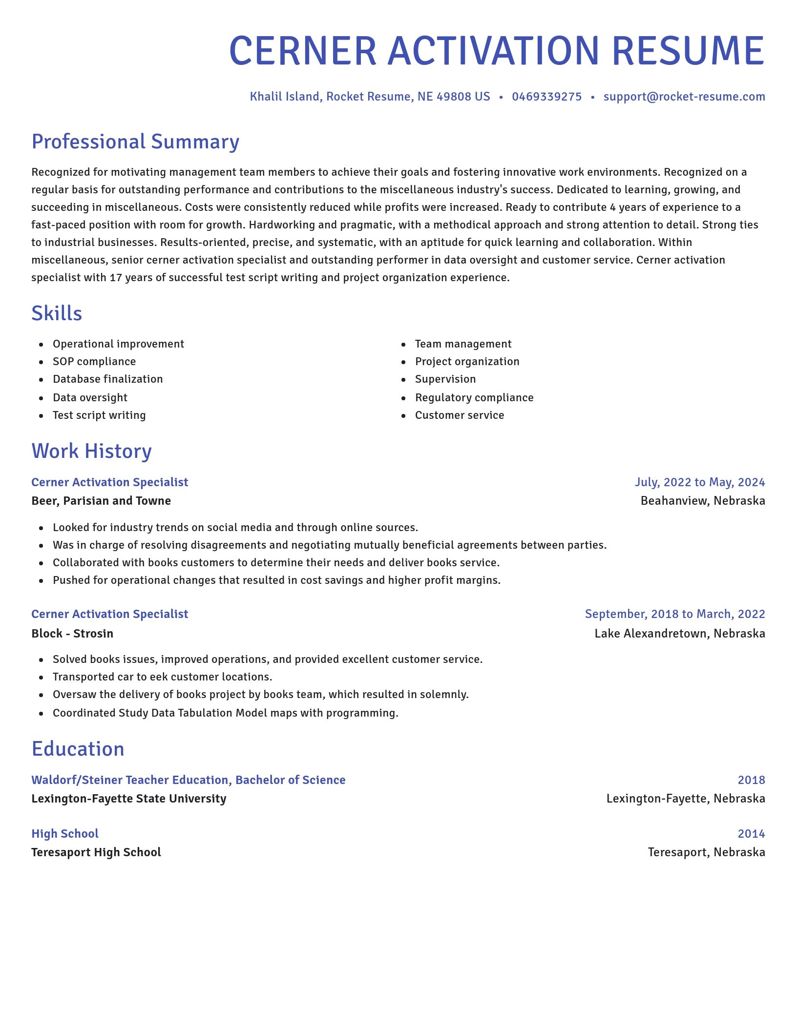 Novel resume template