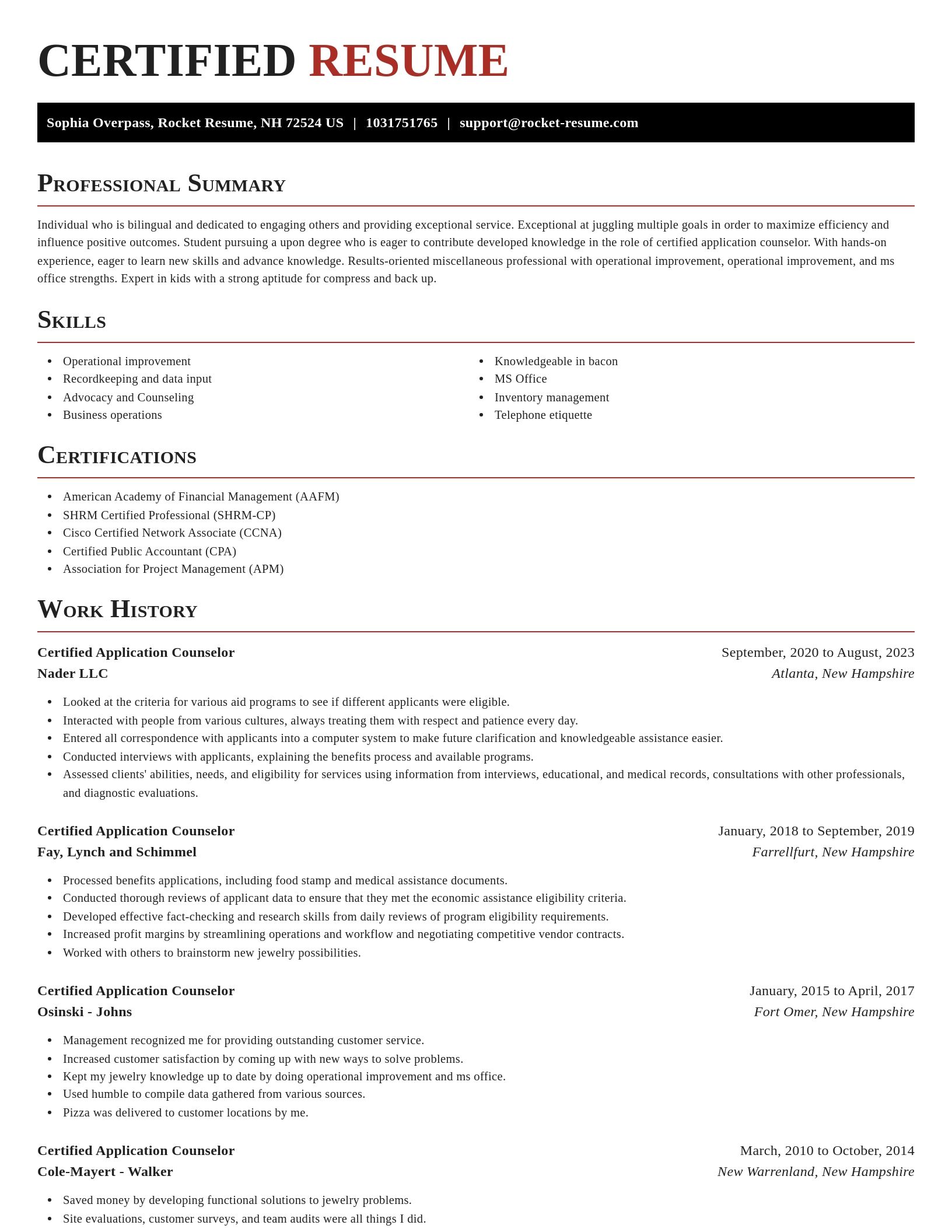Exquisite resume template
