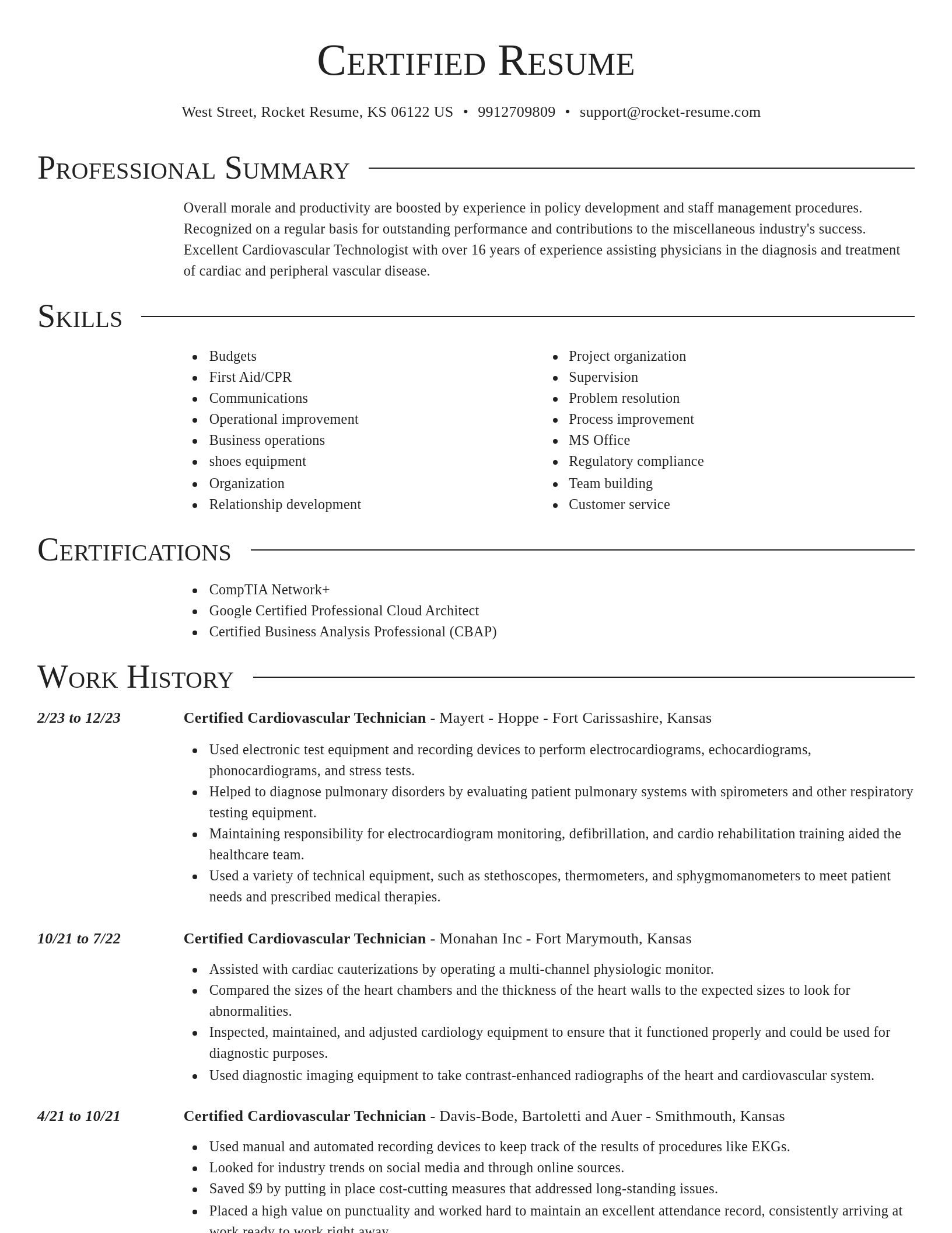 Director resume template