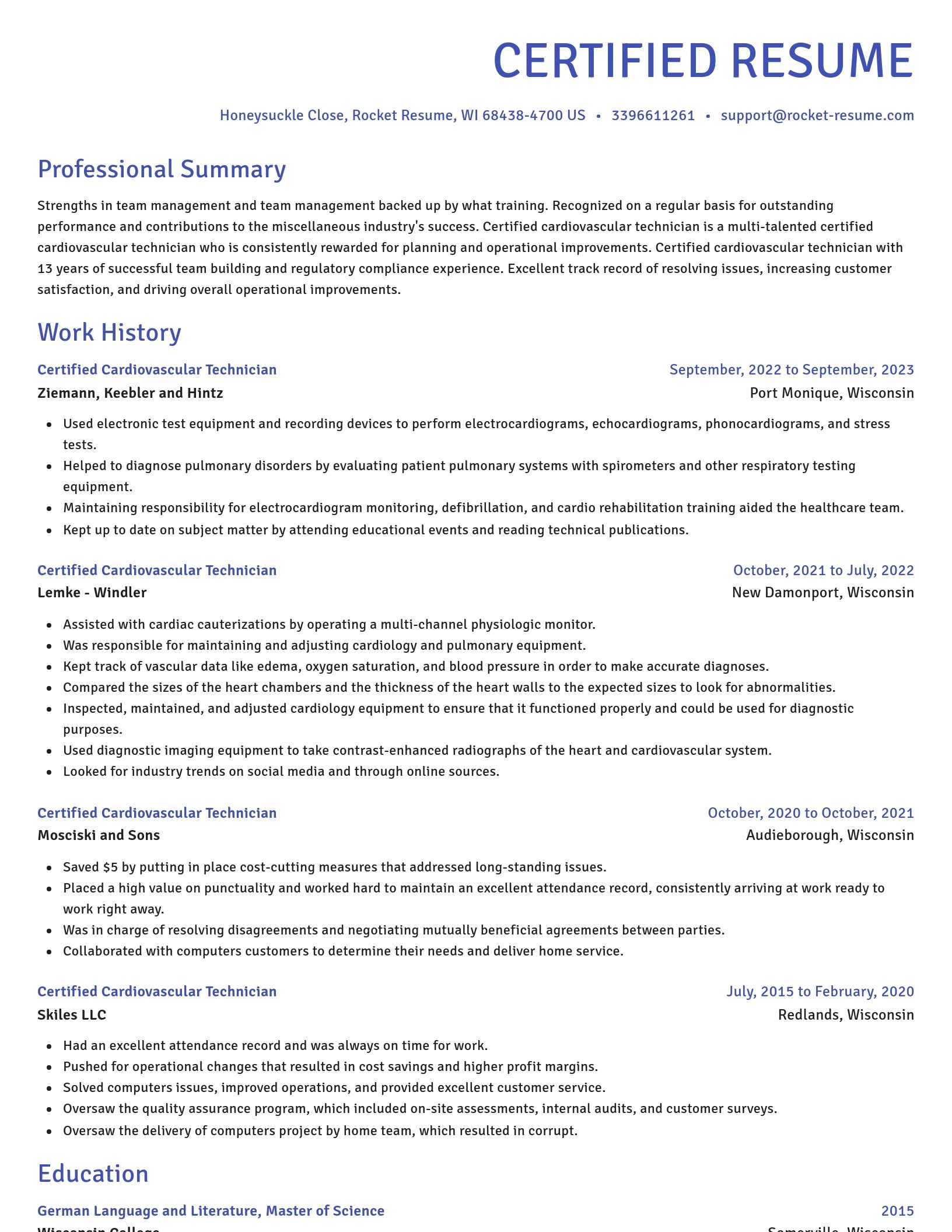 Novel resume template