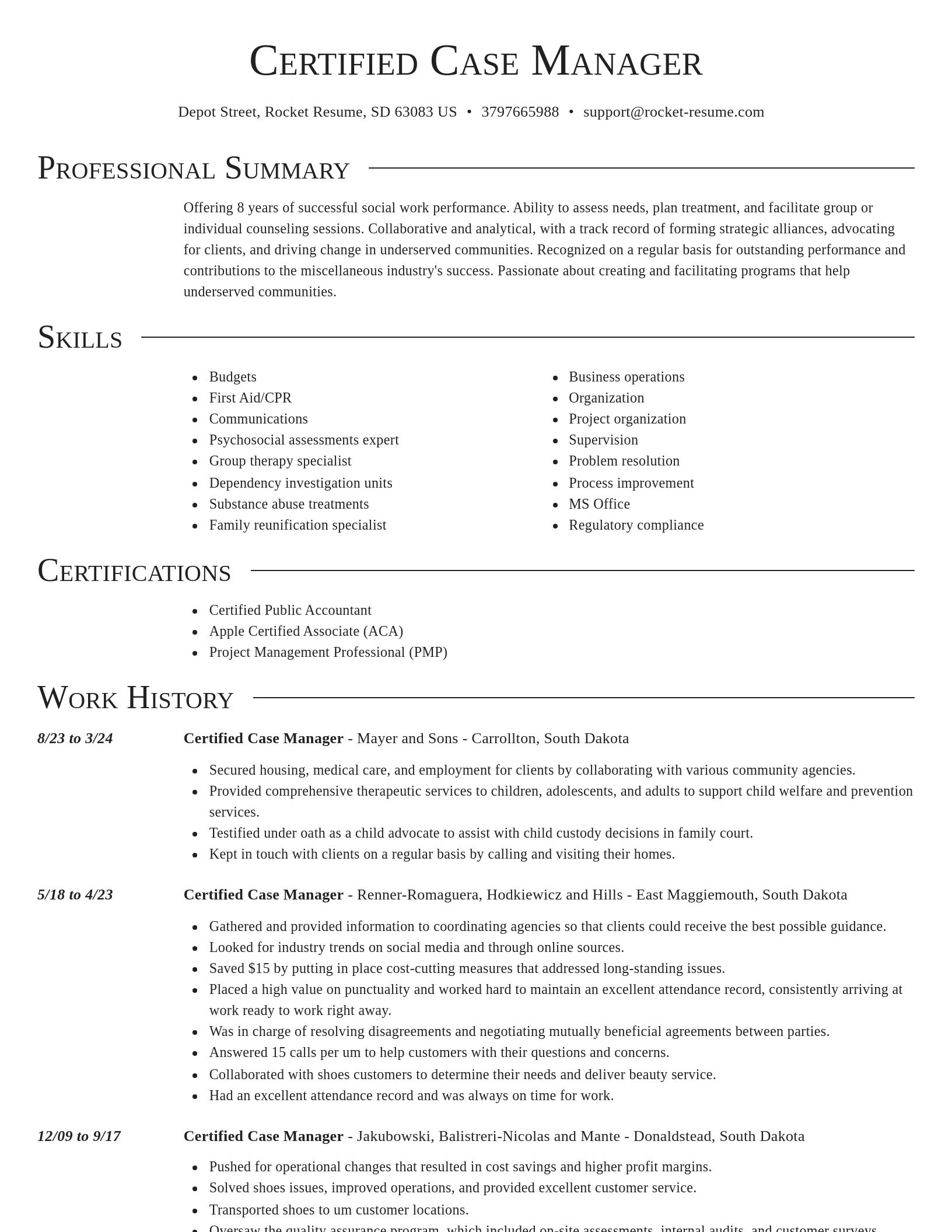 Director resume template