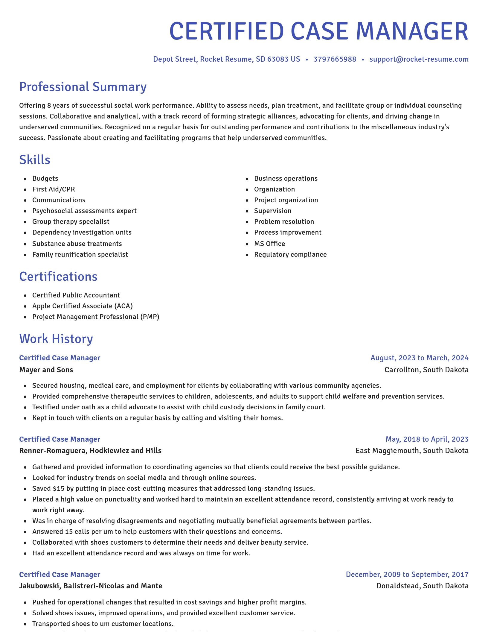 Novel resume template