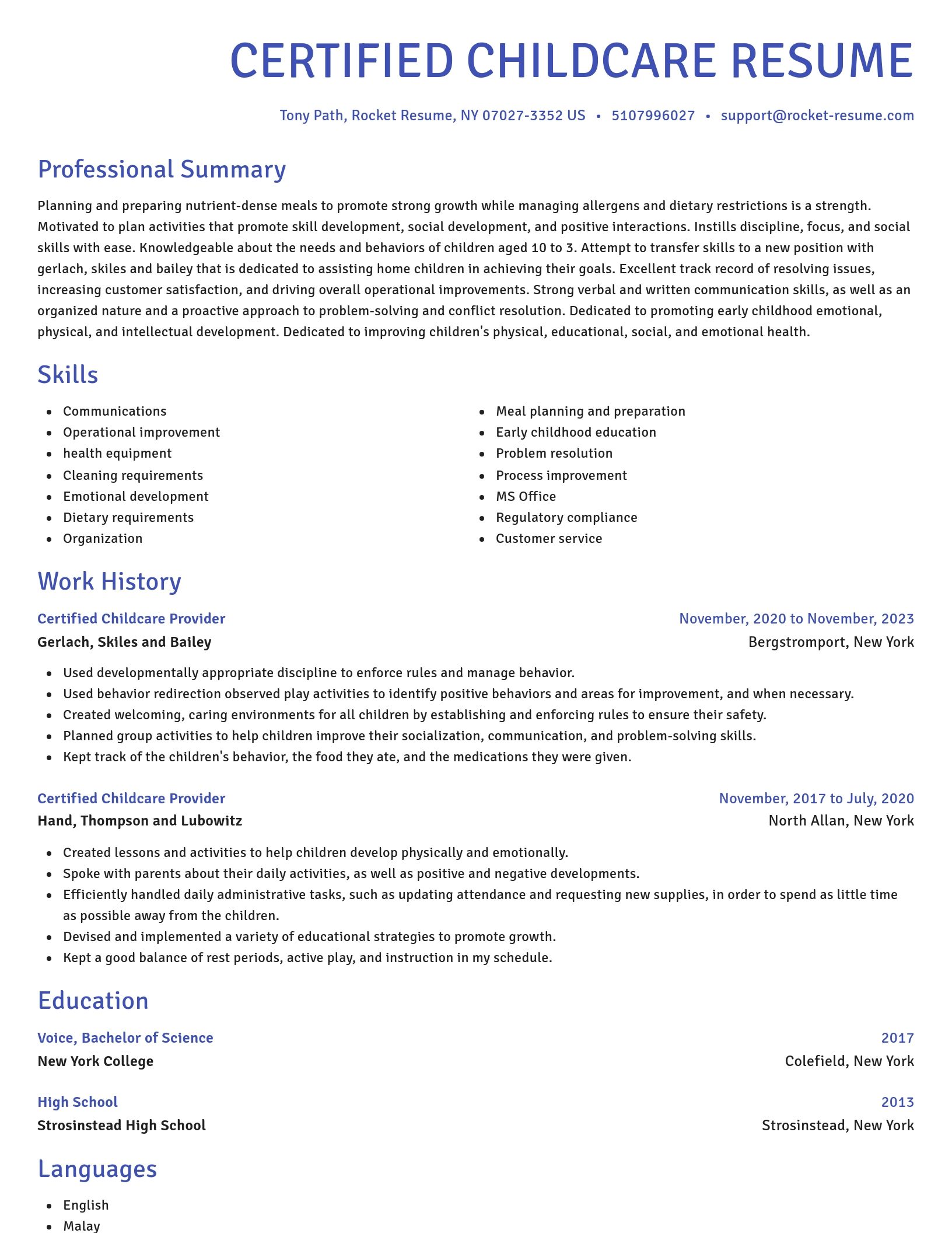 Novel resume template