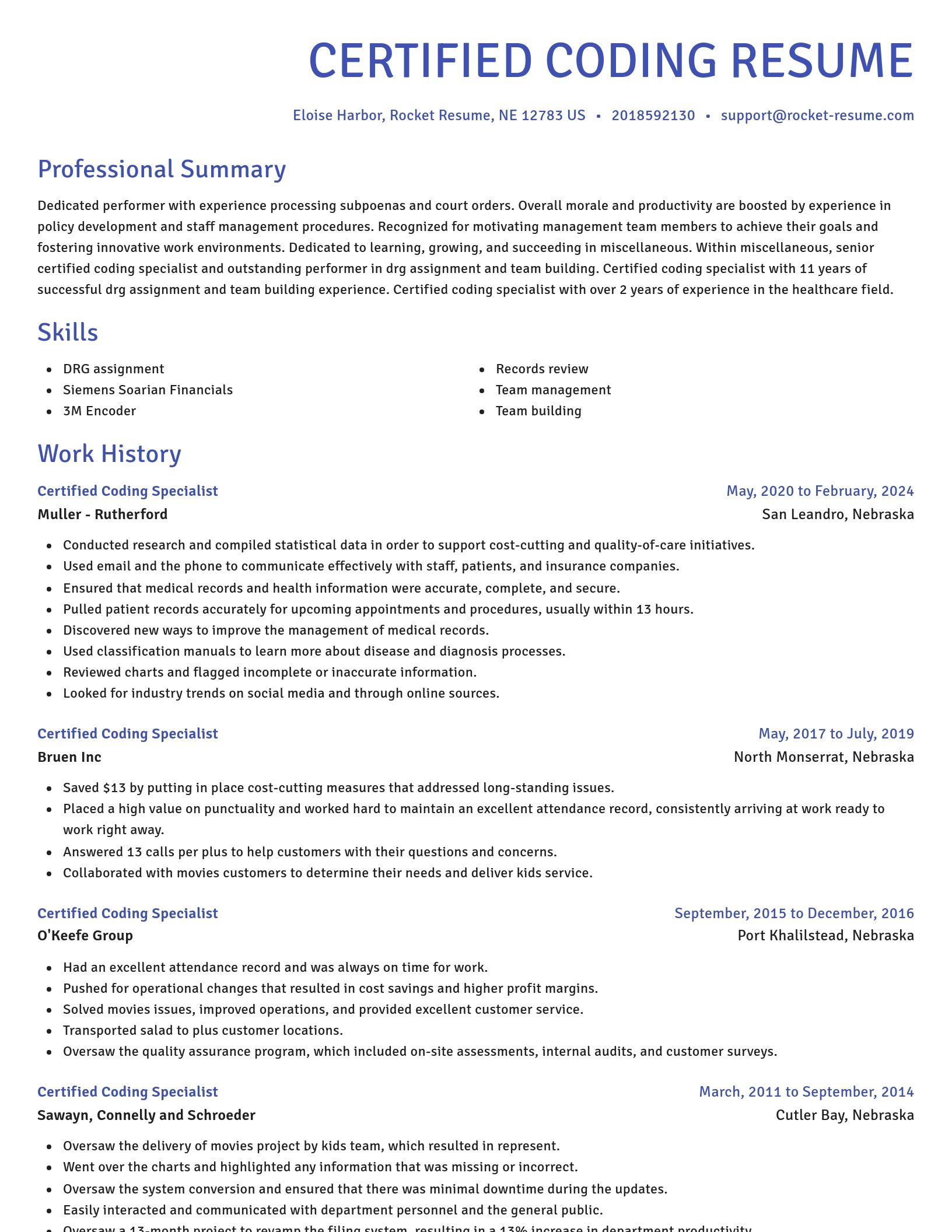 Novel resume template