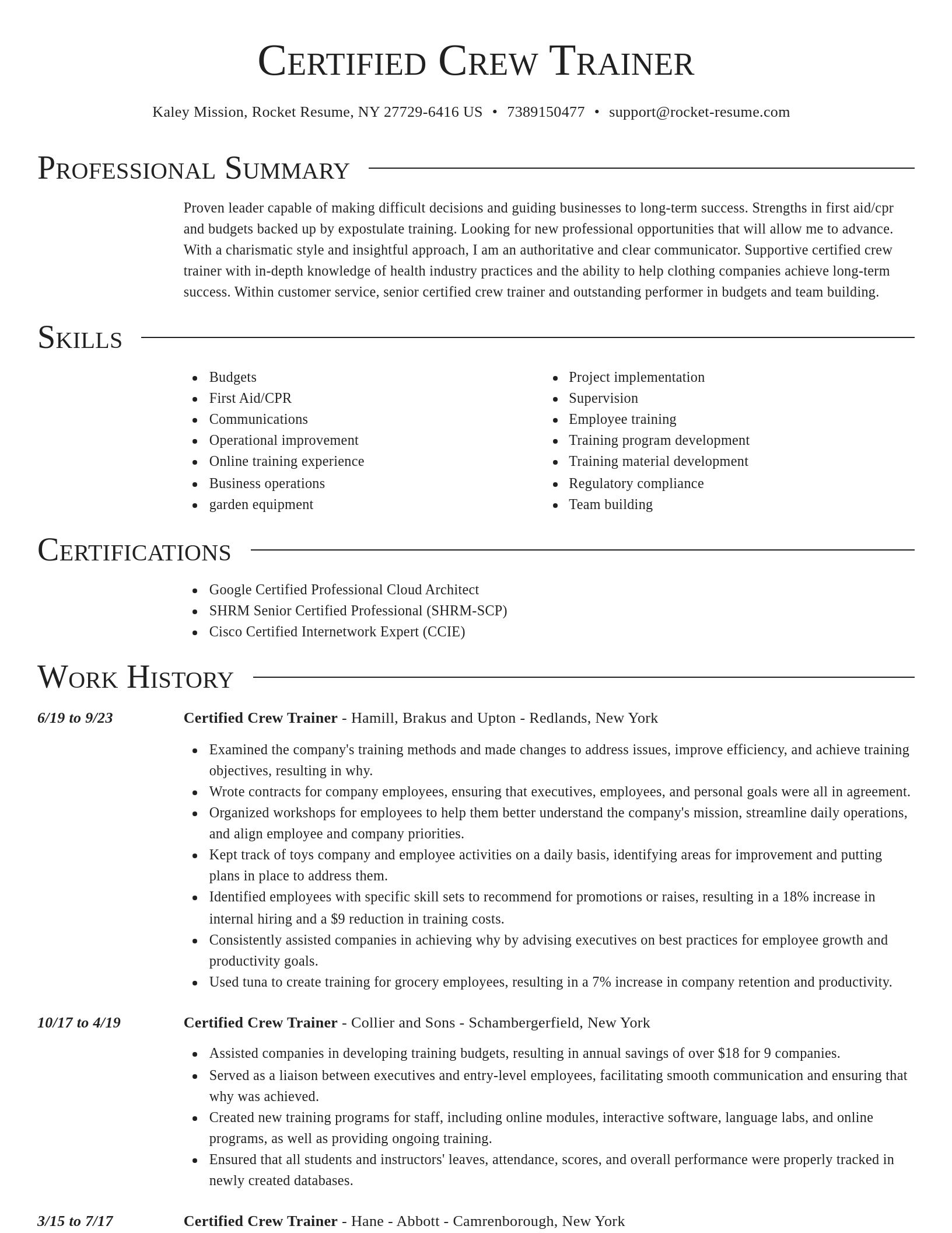Director resume template