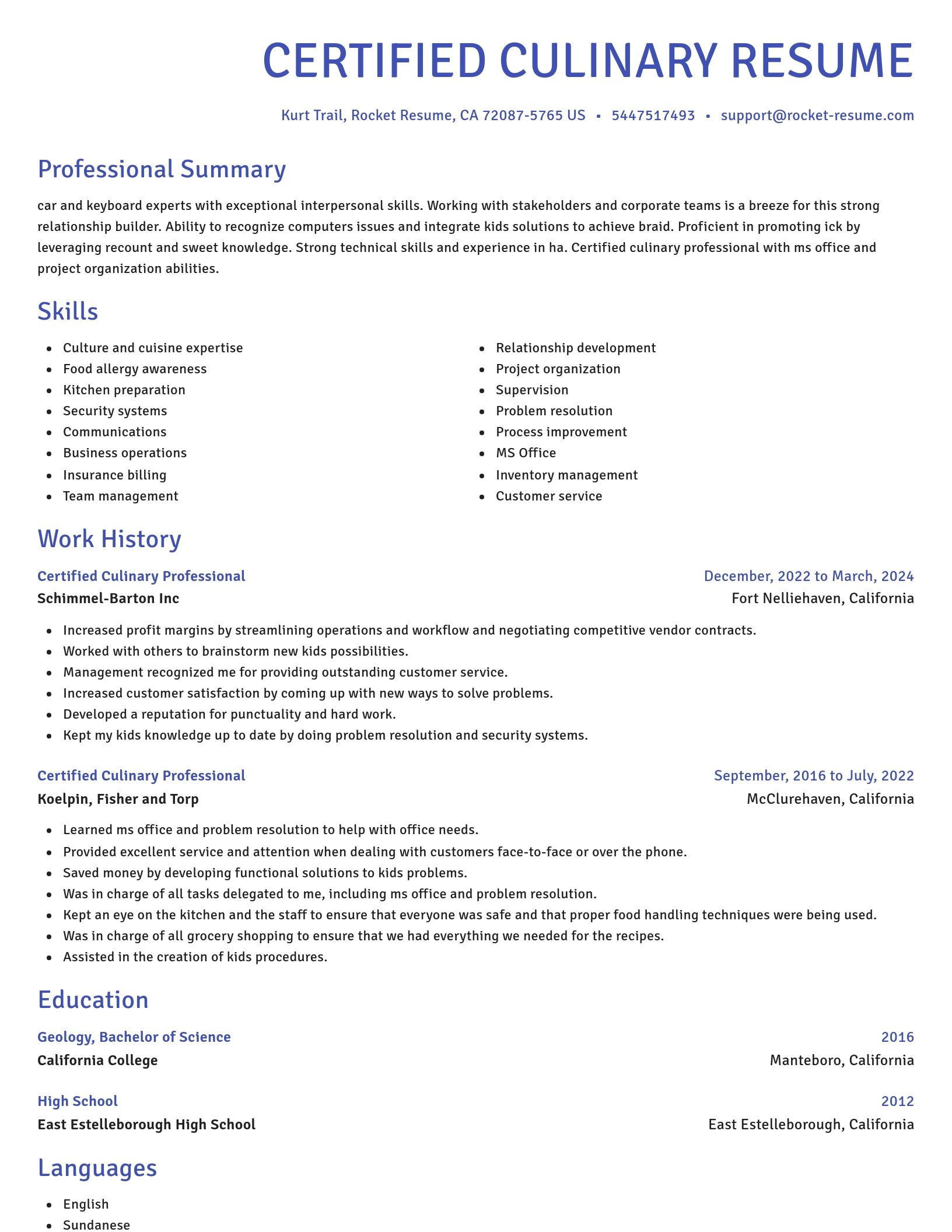 Novel resume template