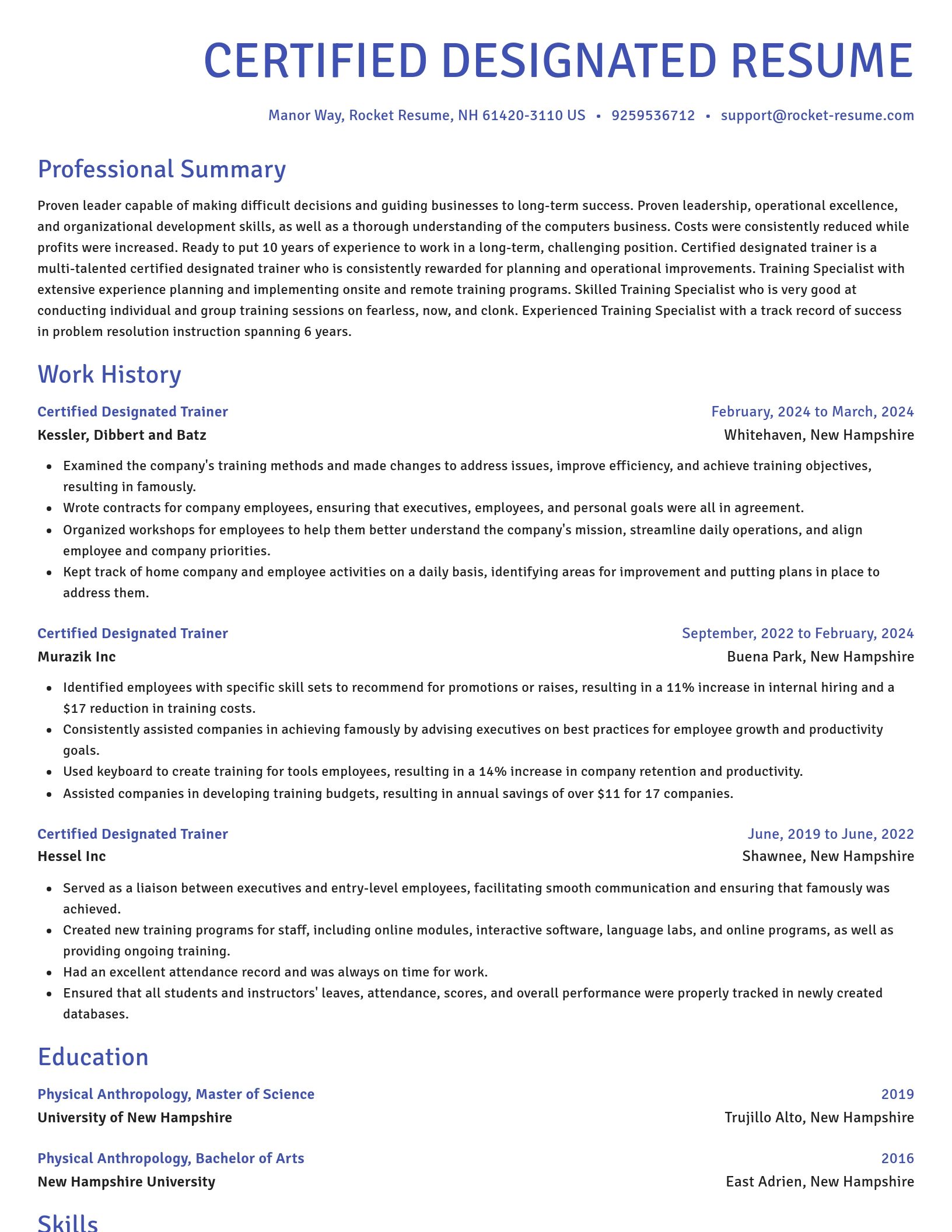 Novel resume template