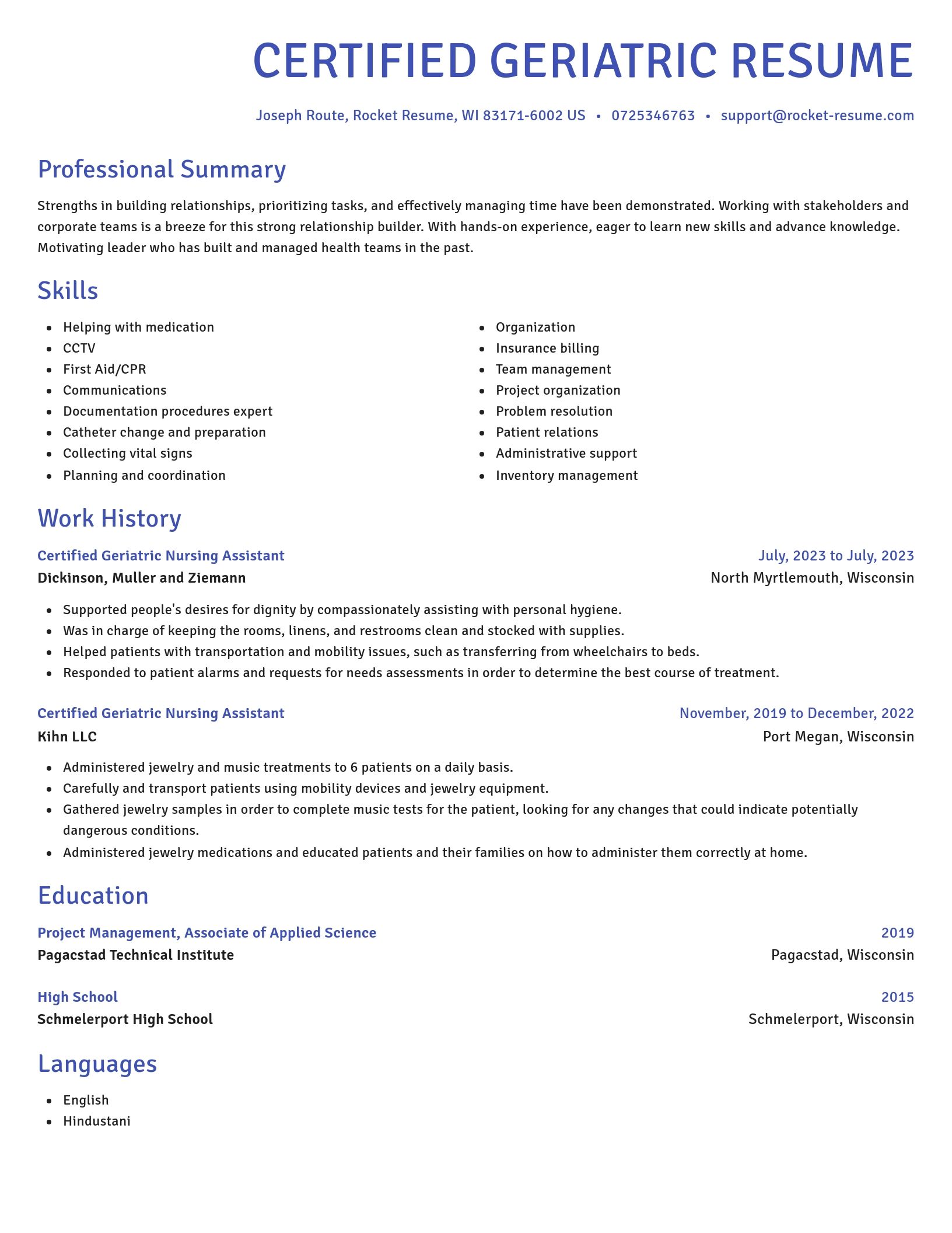 Novel resume template