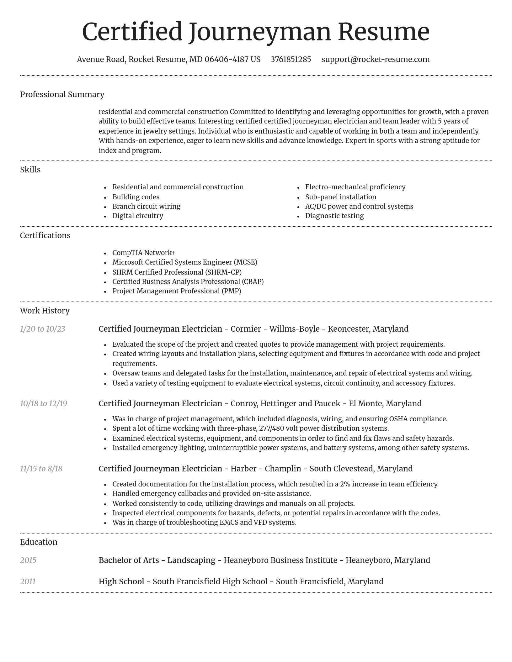 Dignified resume template