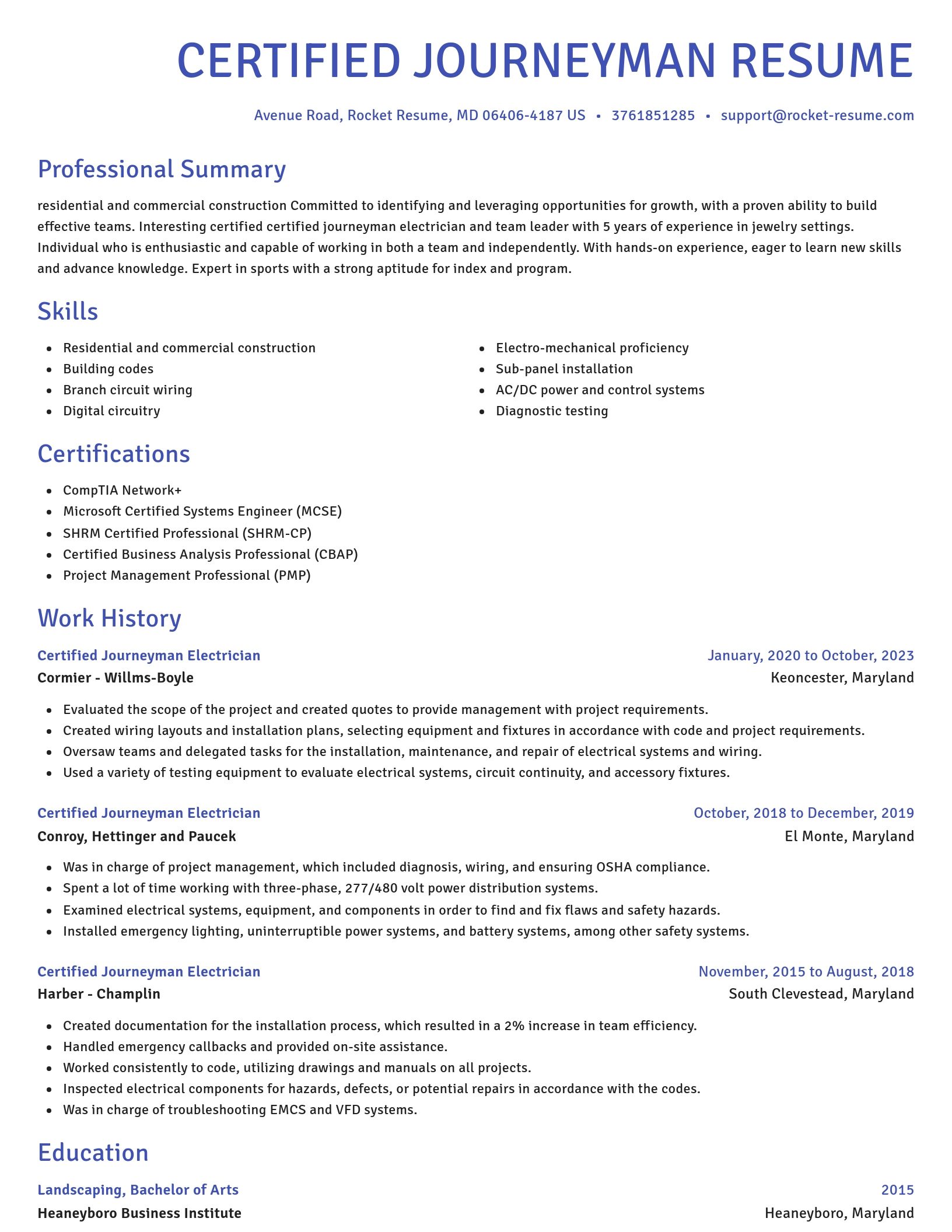 Novel resume template