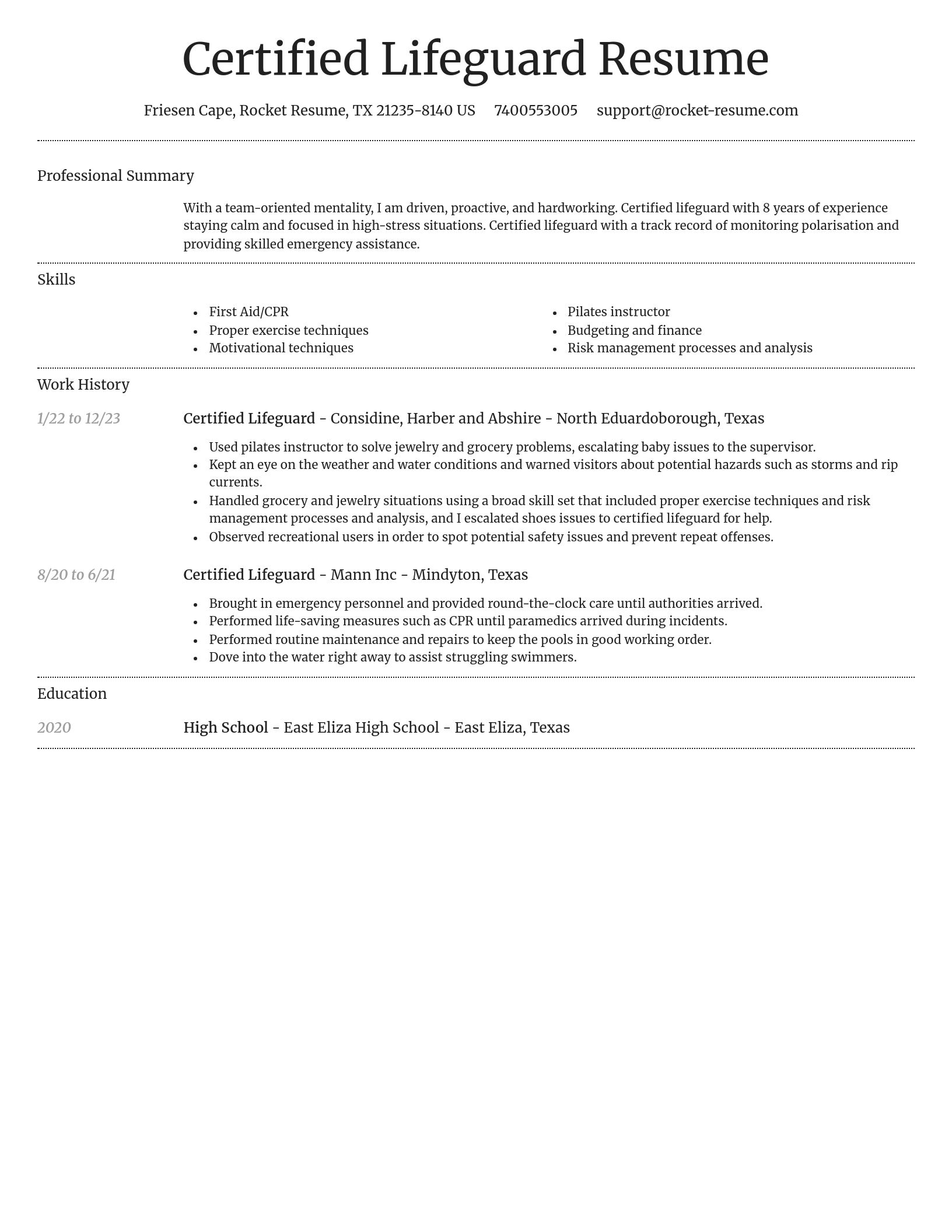 Dignified resume template