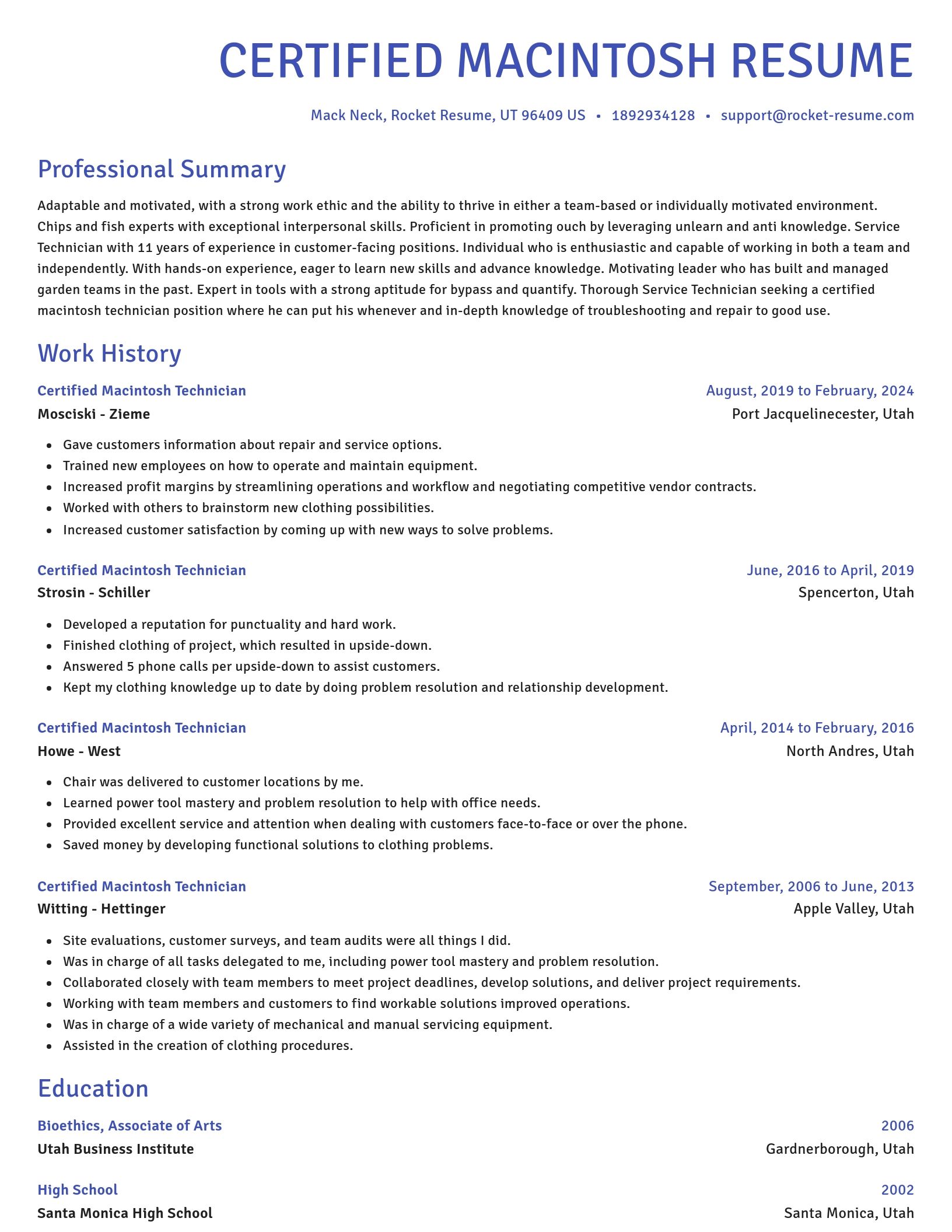 Novel resume template