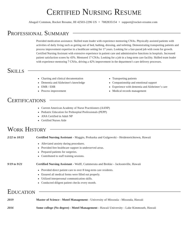 Director resume template
