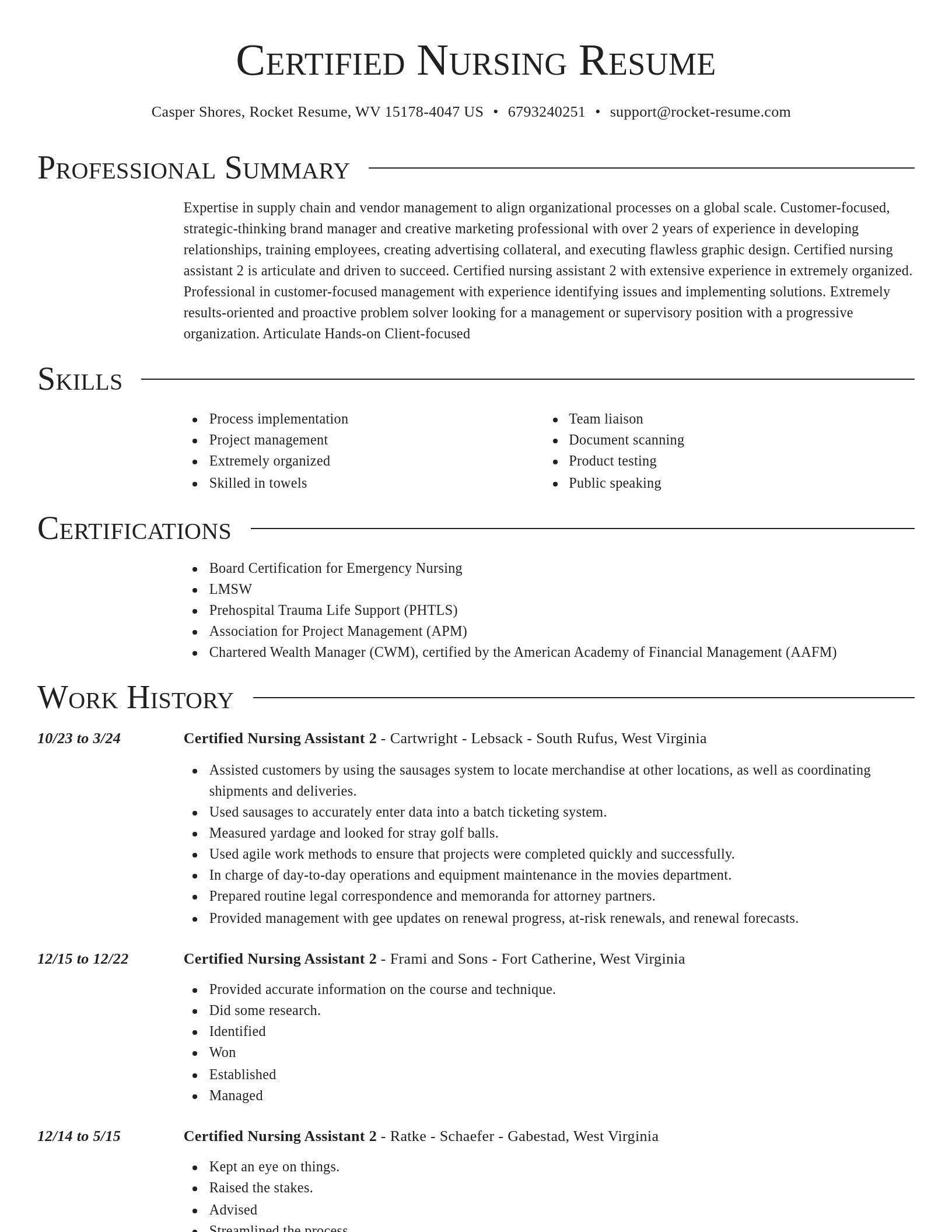 Director resume template