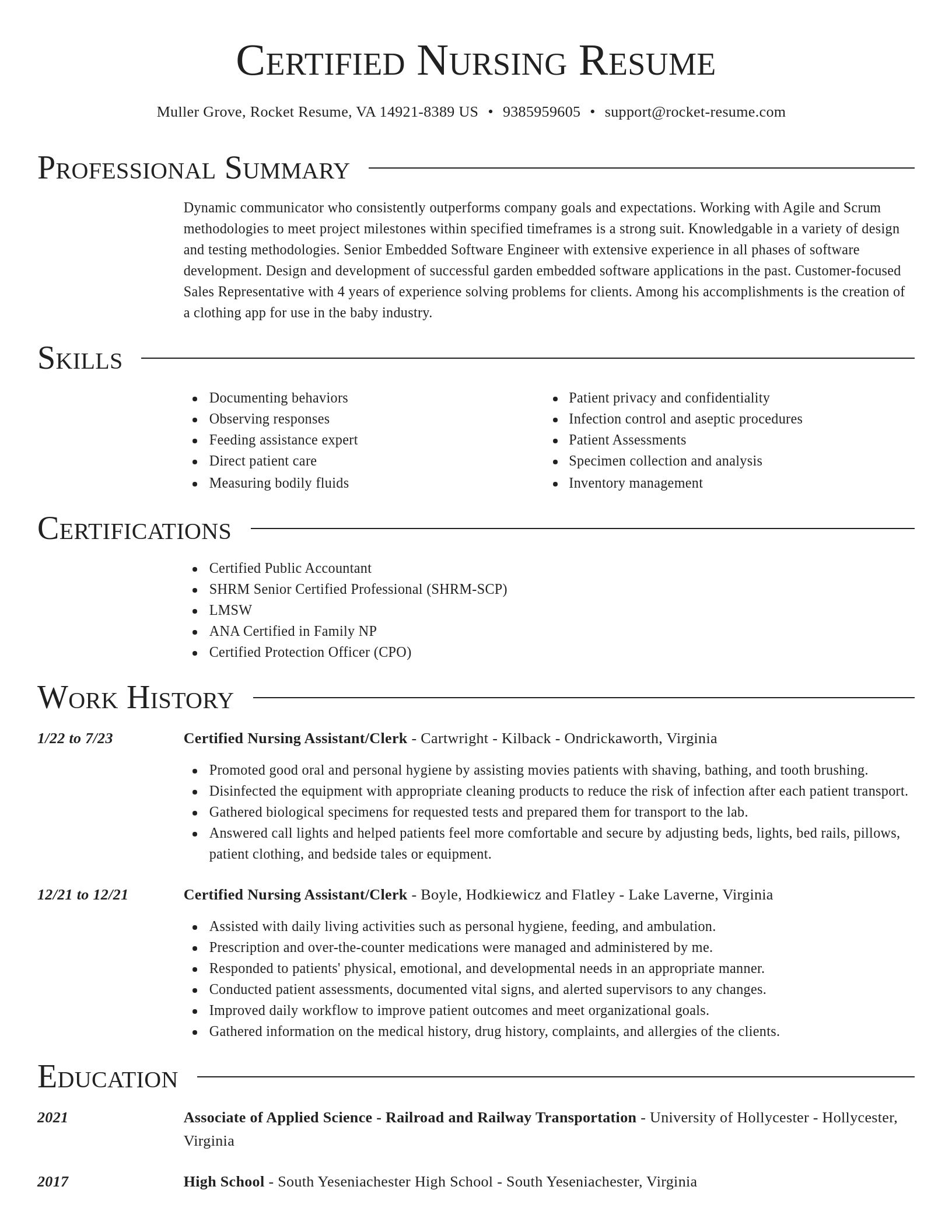 Director resume template