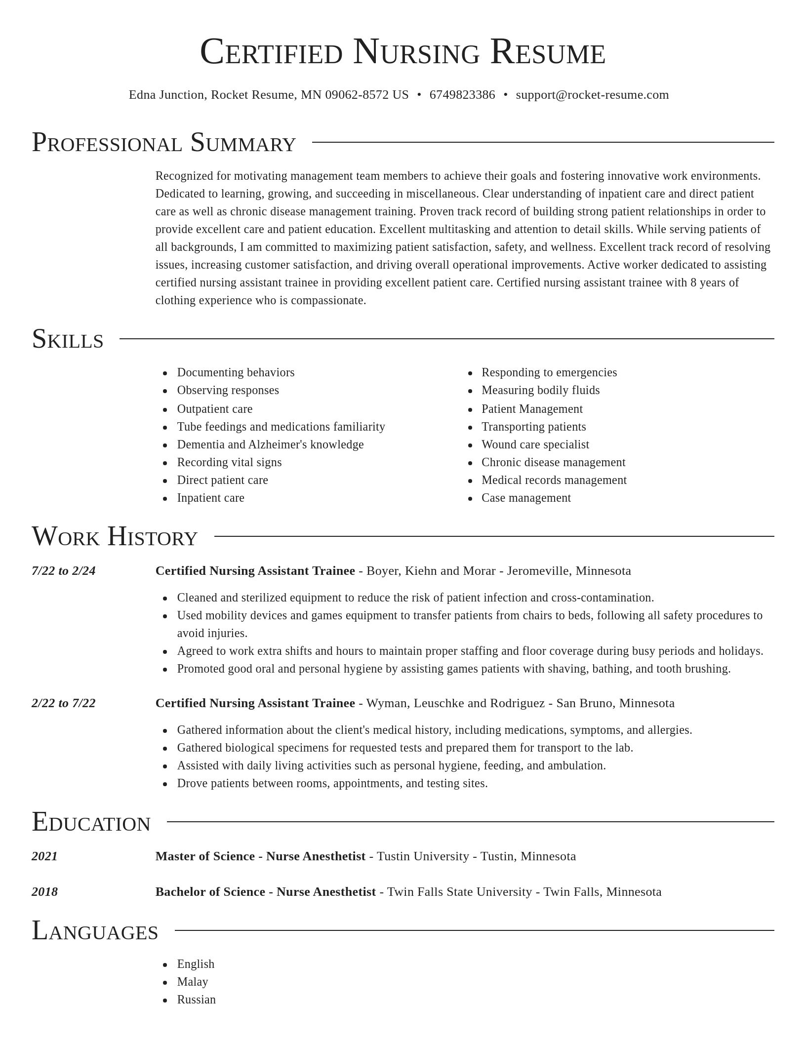 Director resume template