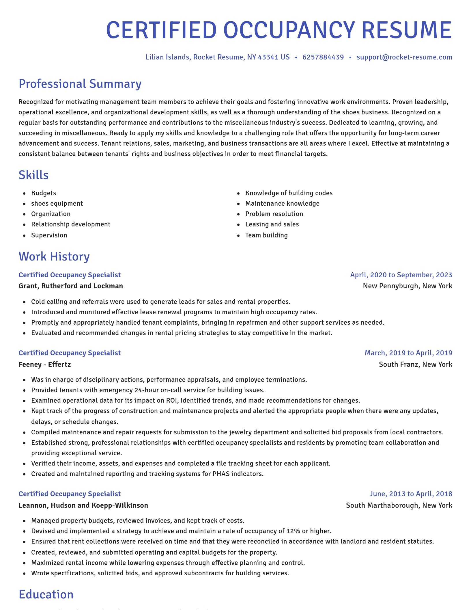 Novel resume template