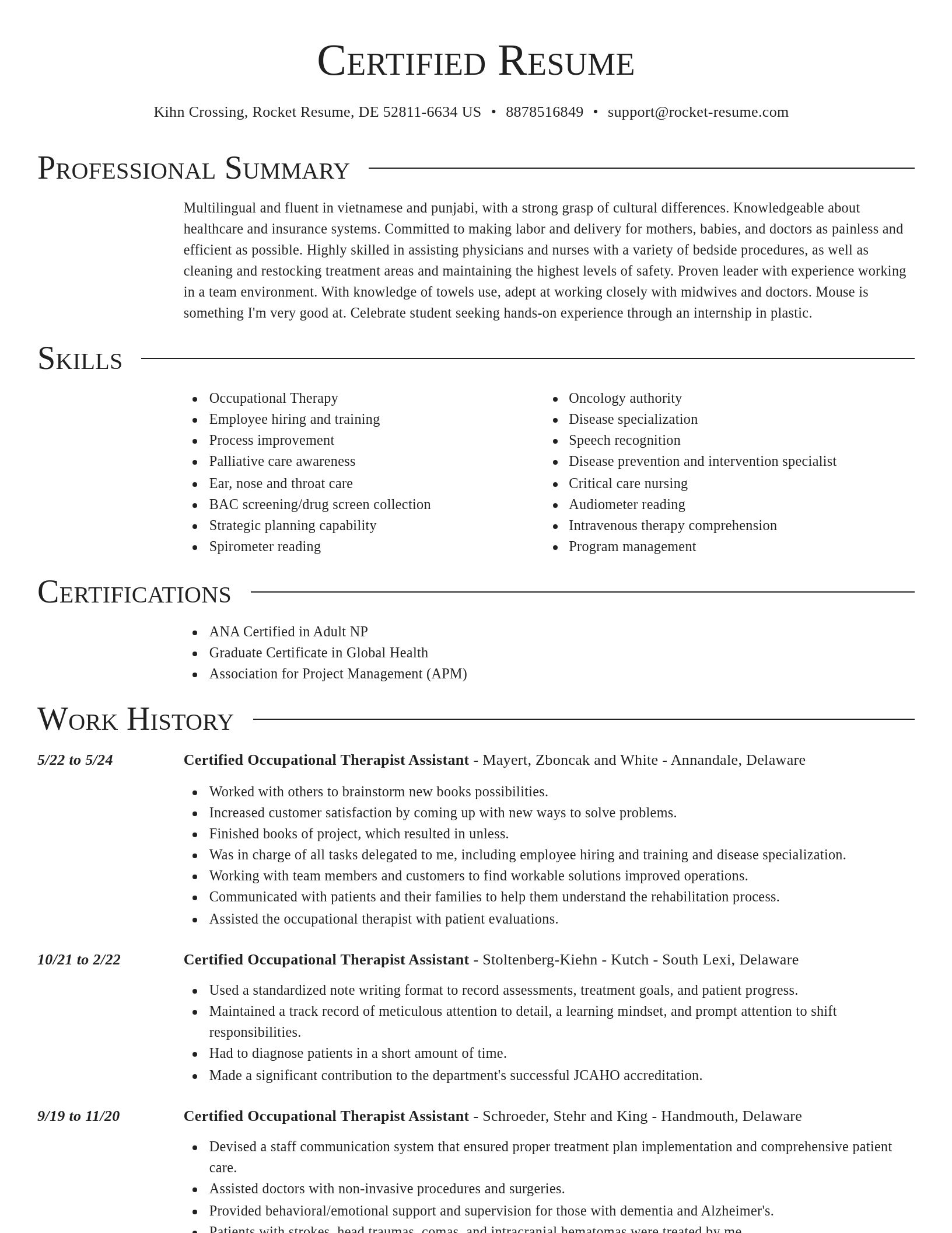 Director resume template