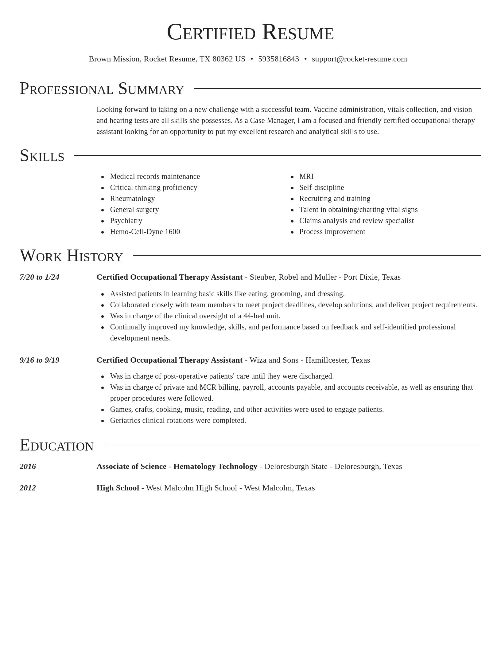 Director resume template