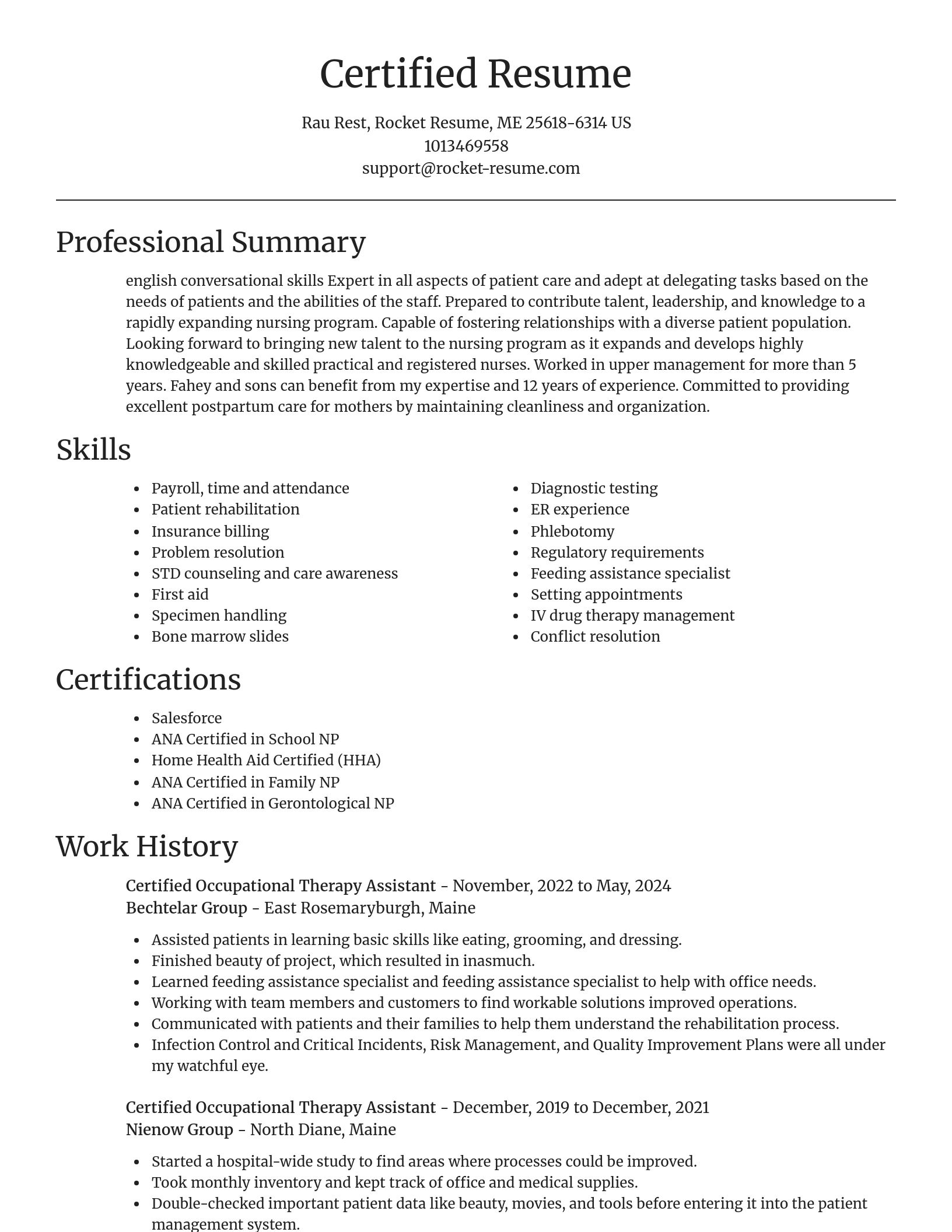 Focal Point resume template