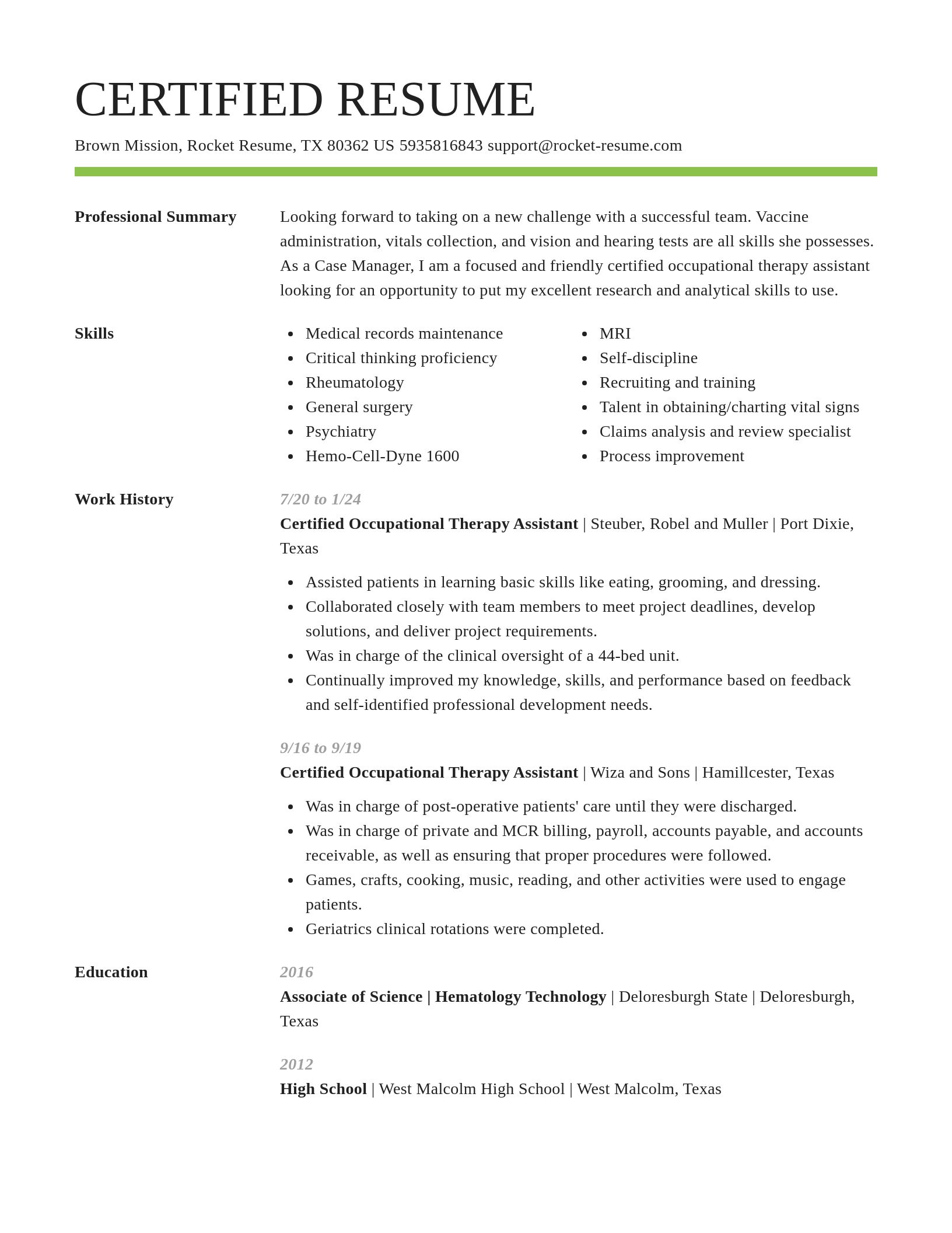 Smart resume template