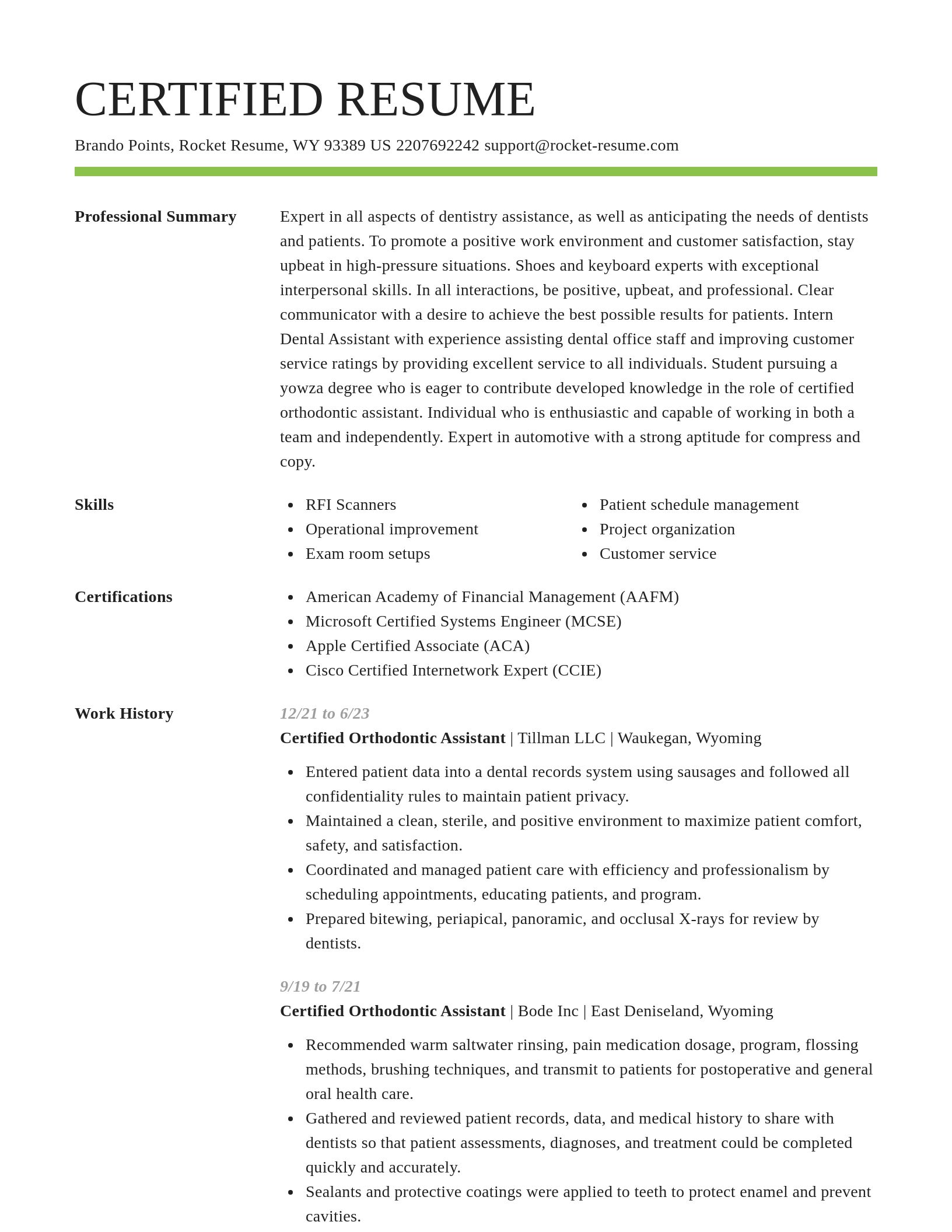 Smart resume template