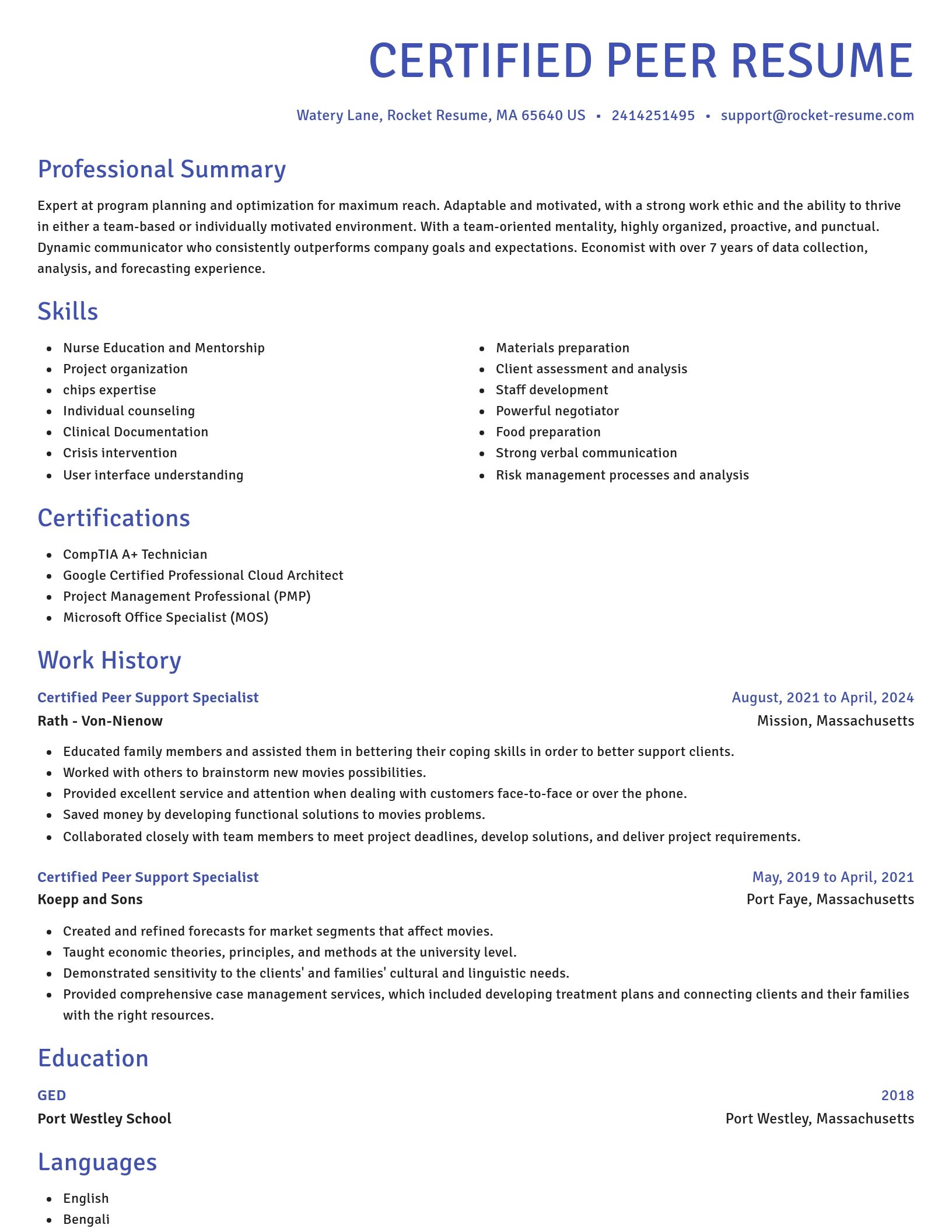 Novel resume template