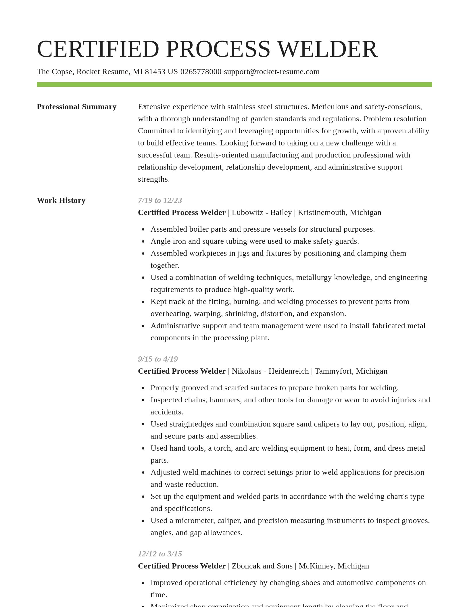 Smart resume template