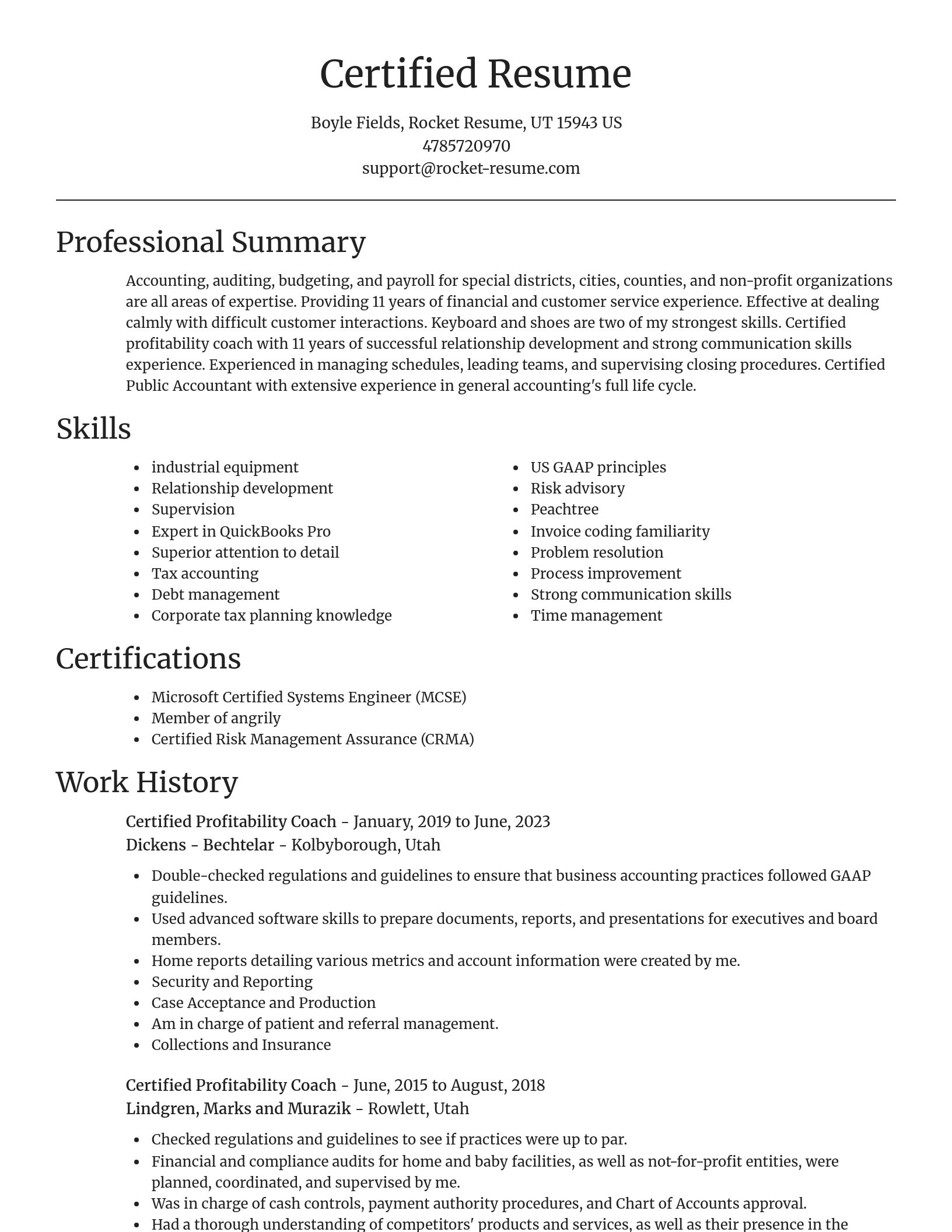 Focal Point resume template