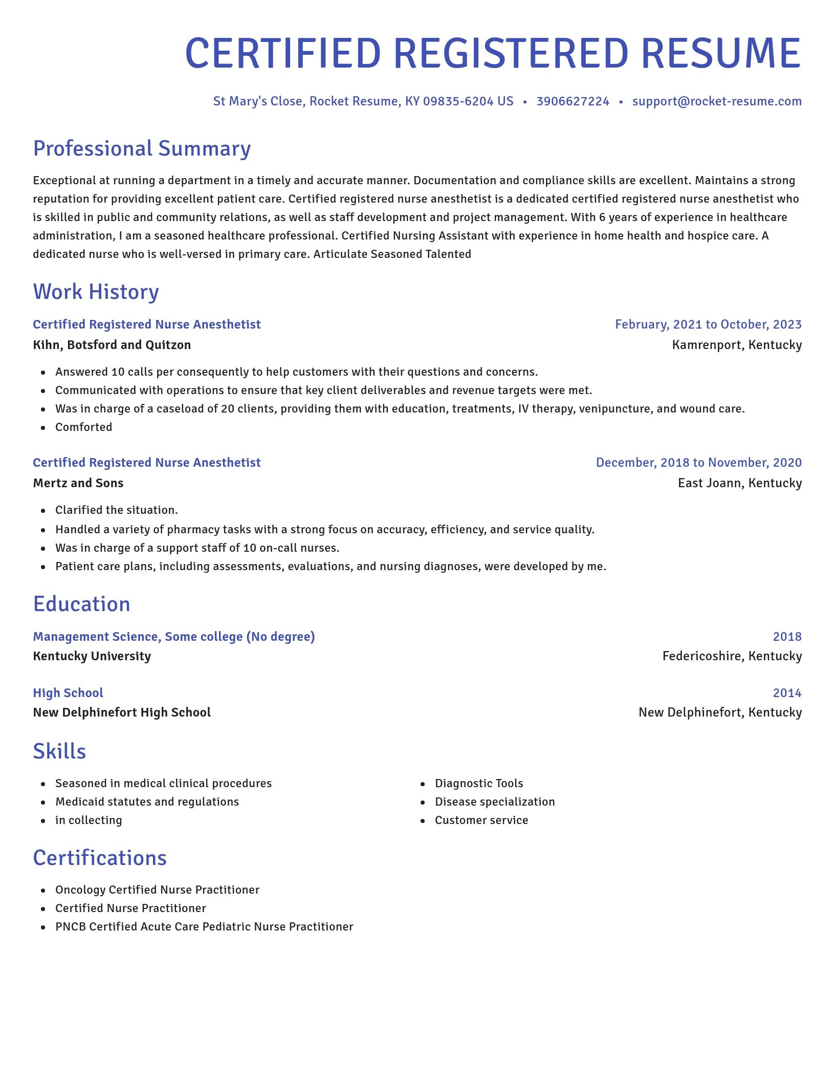 Novel resume template