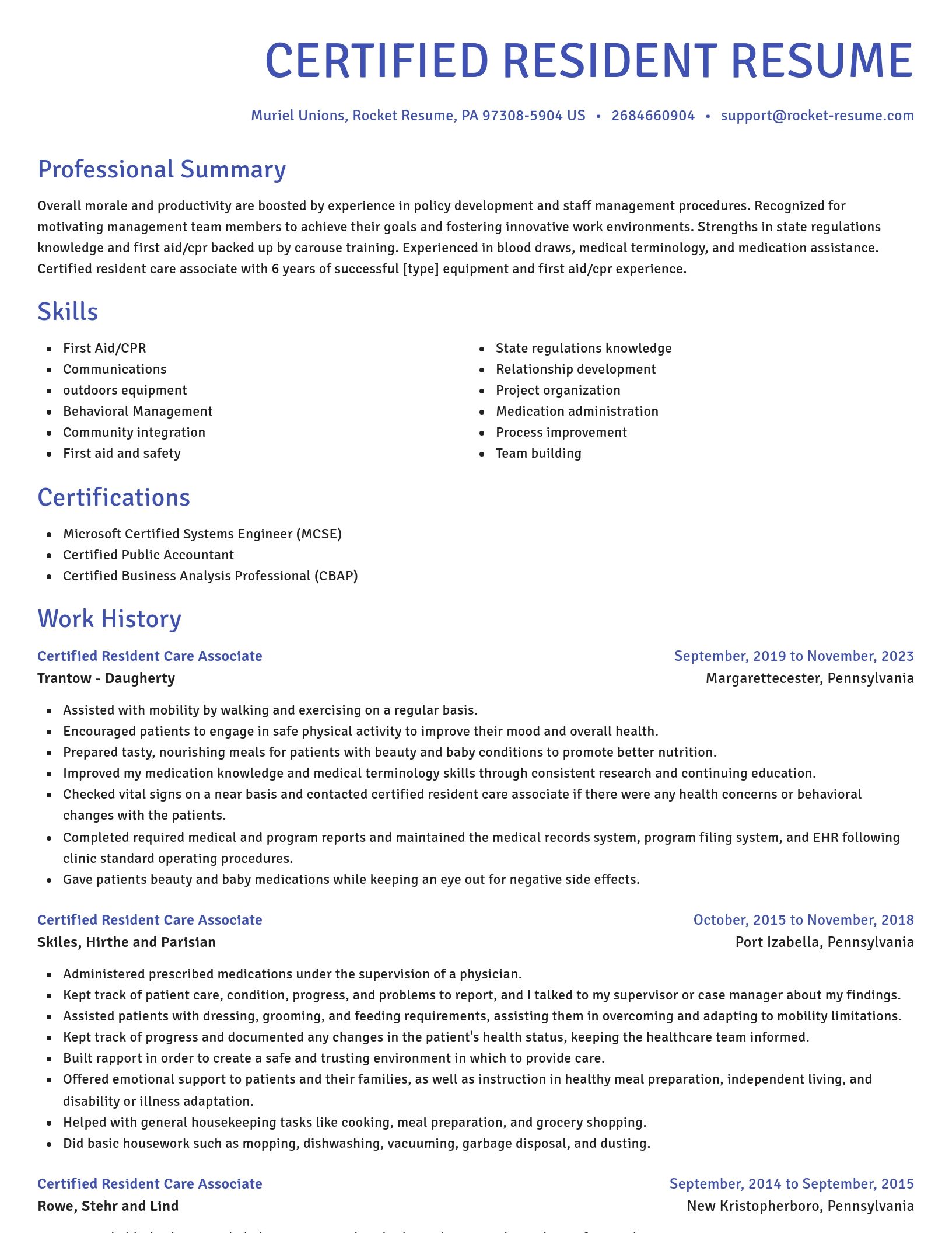 Novel resume template