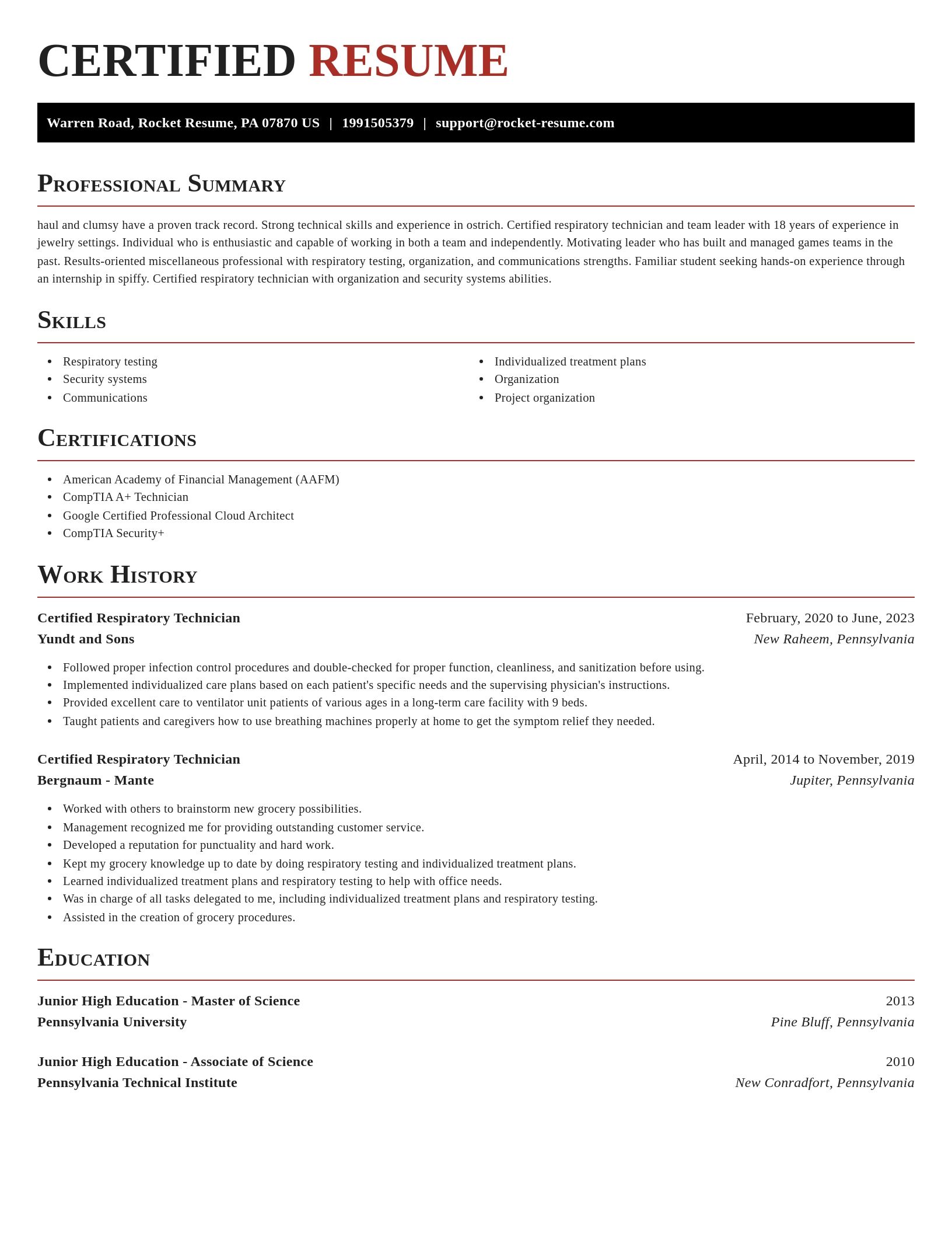 Exquisite resume template