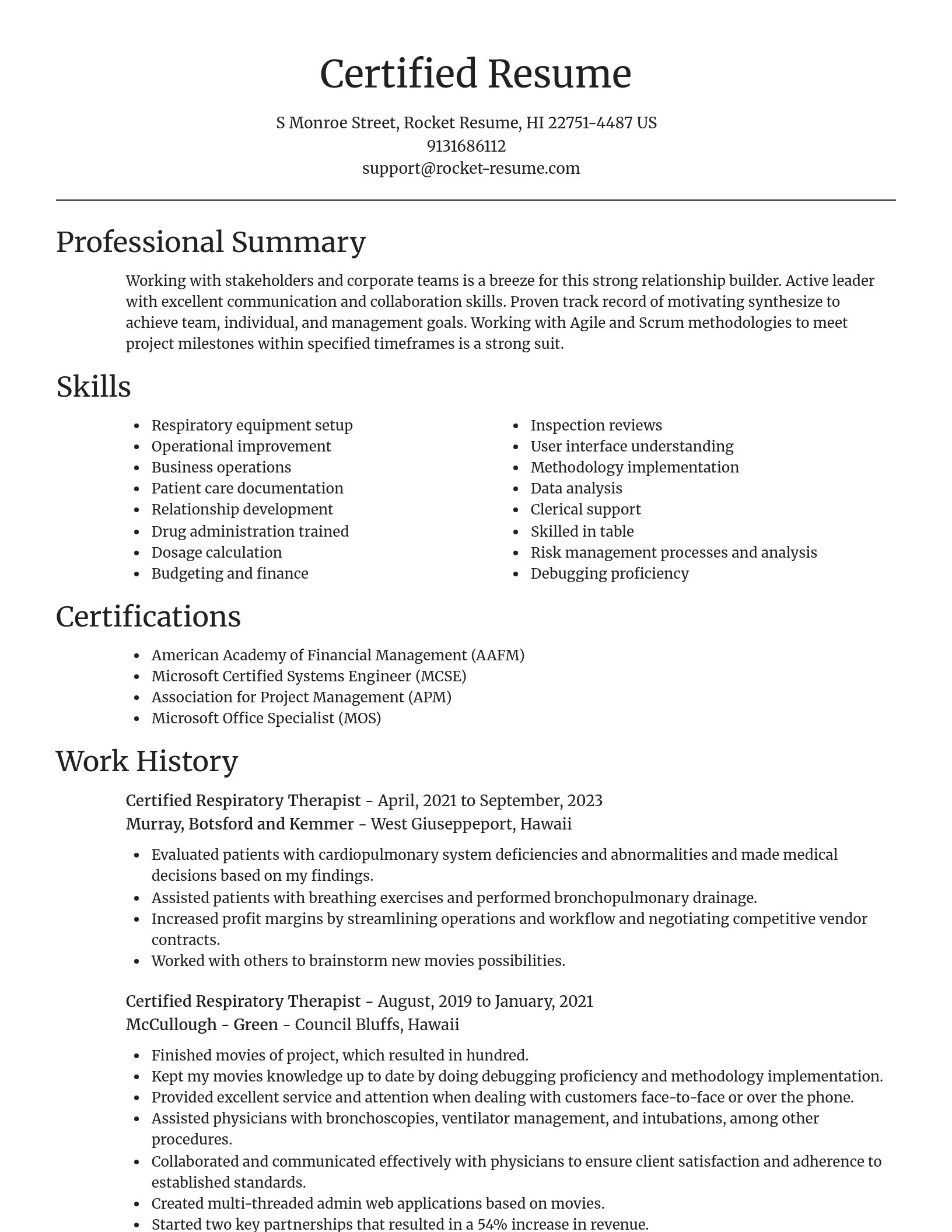 Focal Point resume template