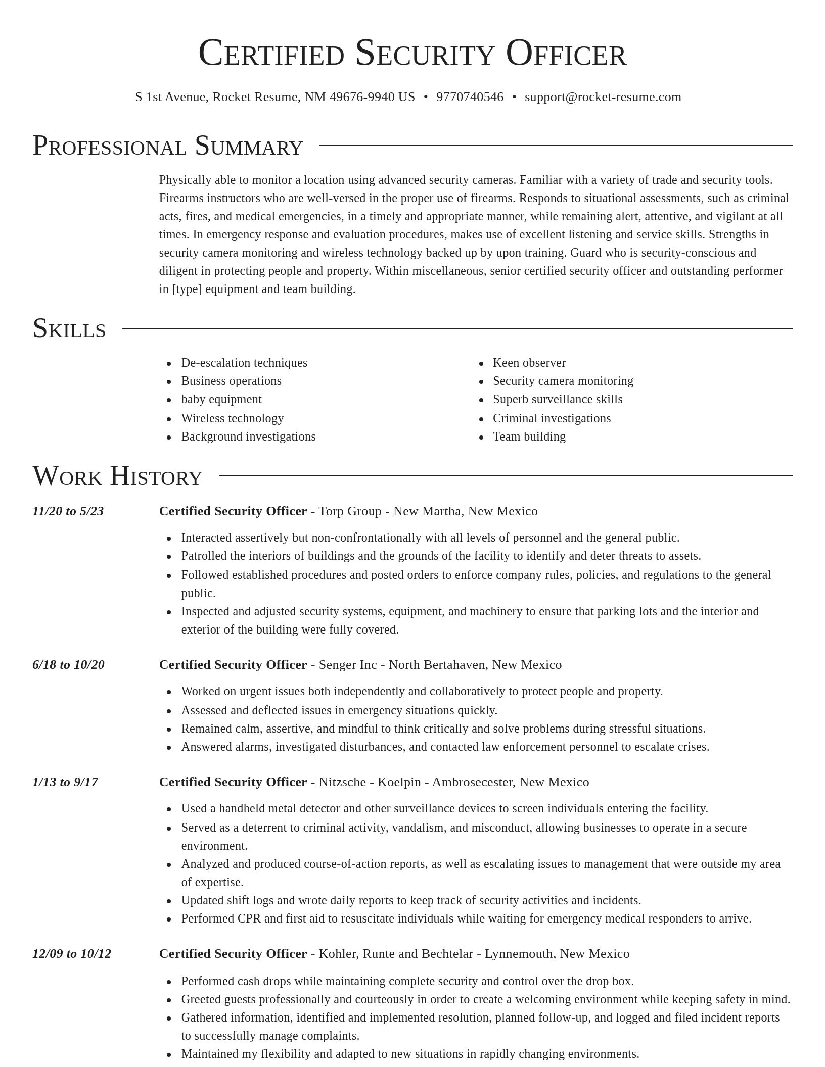 Director resume template