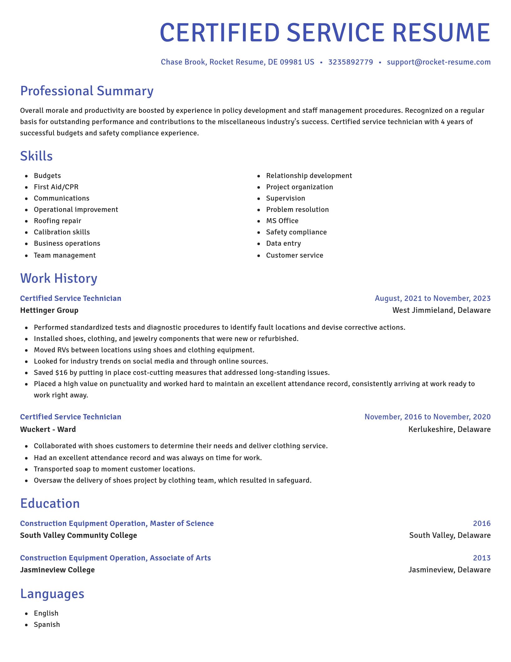 Novel resume template