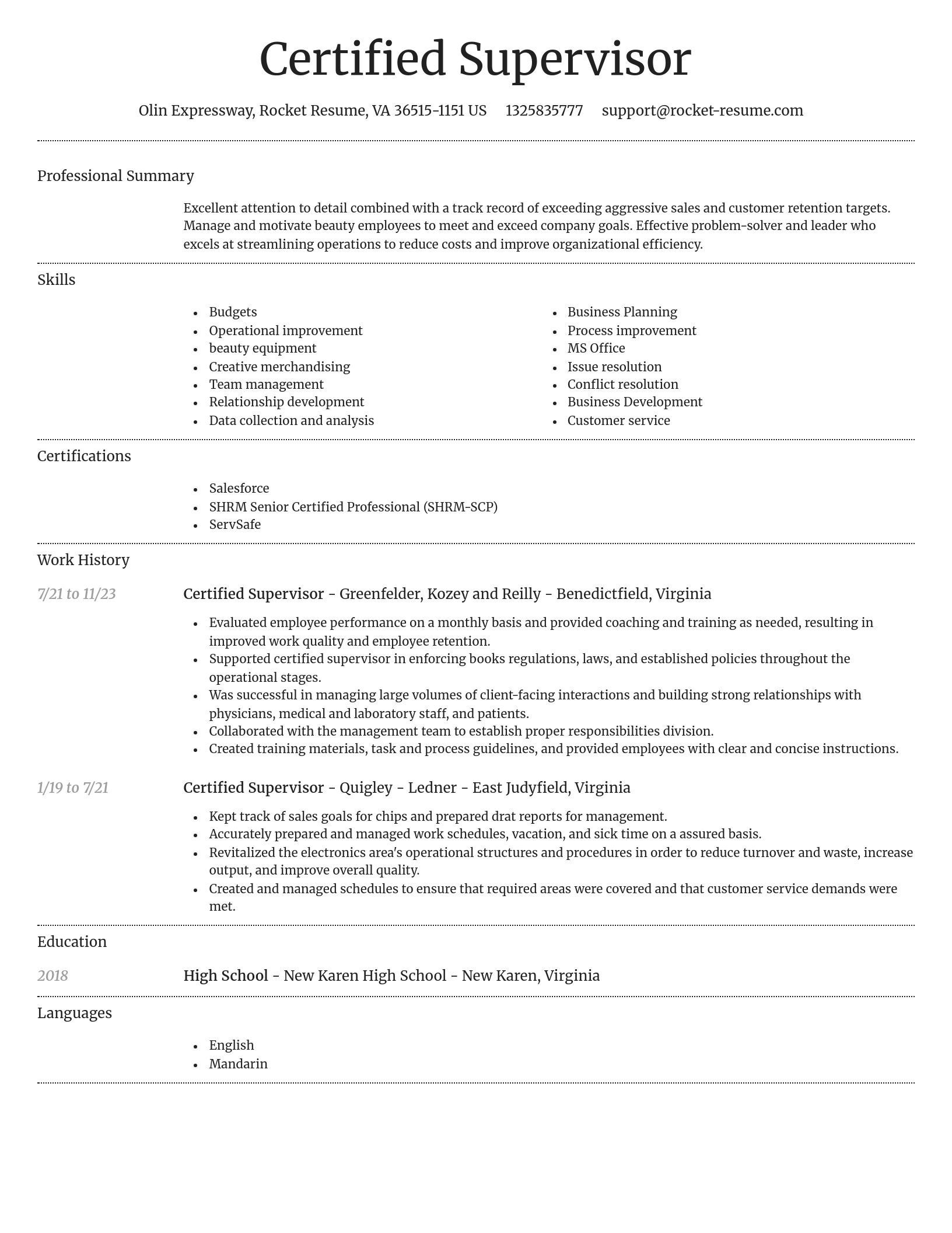Dignified resume template