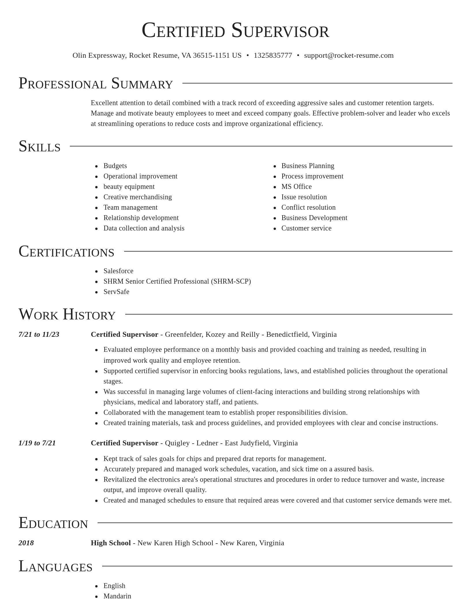 Director resume template