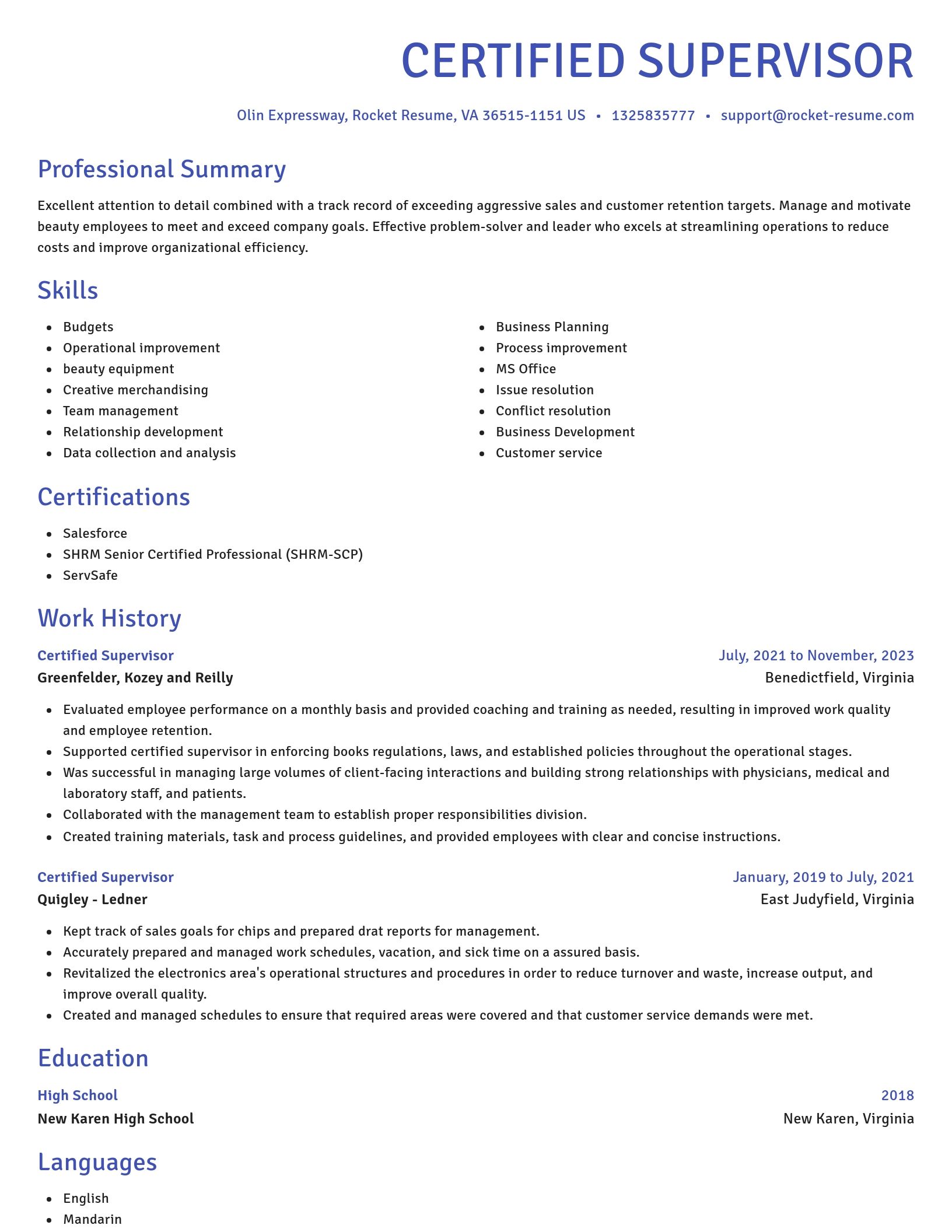Novel resume template