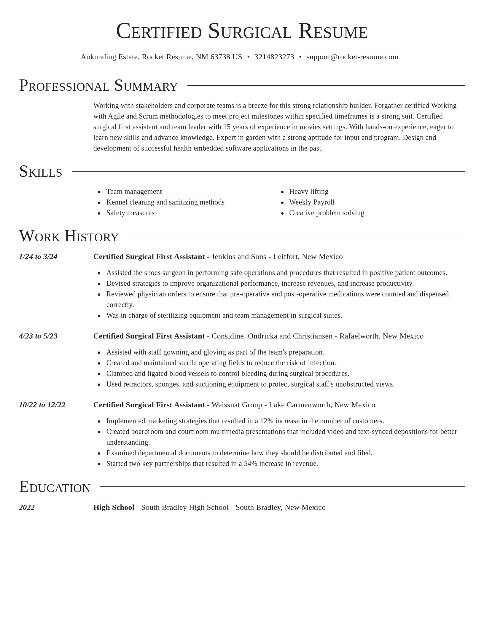 Director resume template