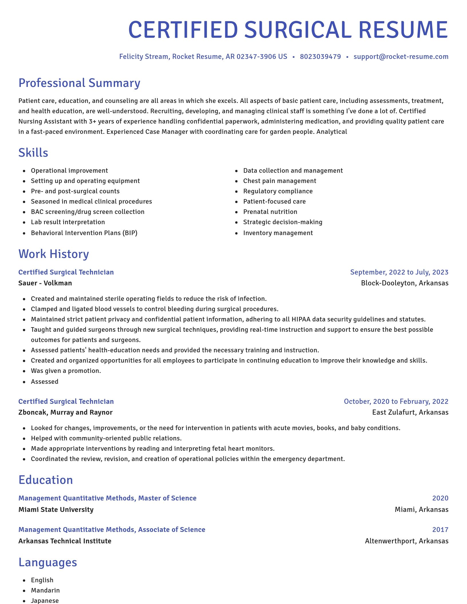 Novel resume template