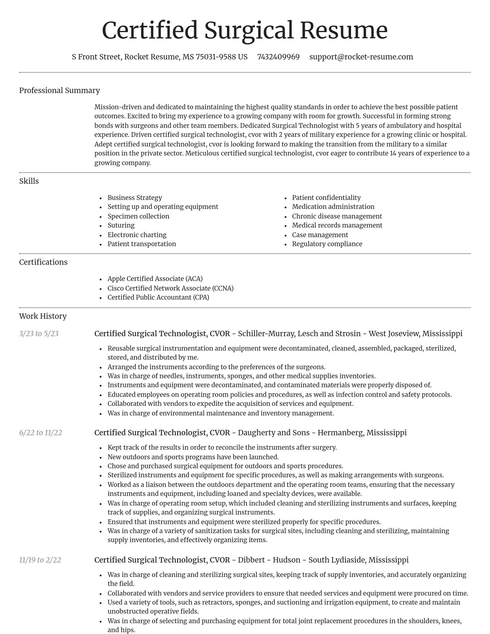 Dignified resume template