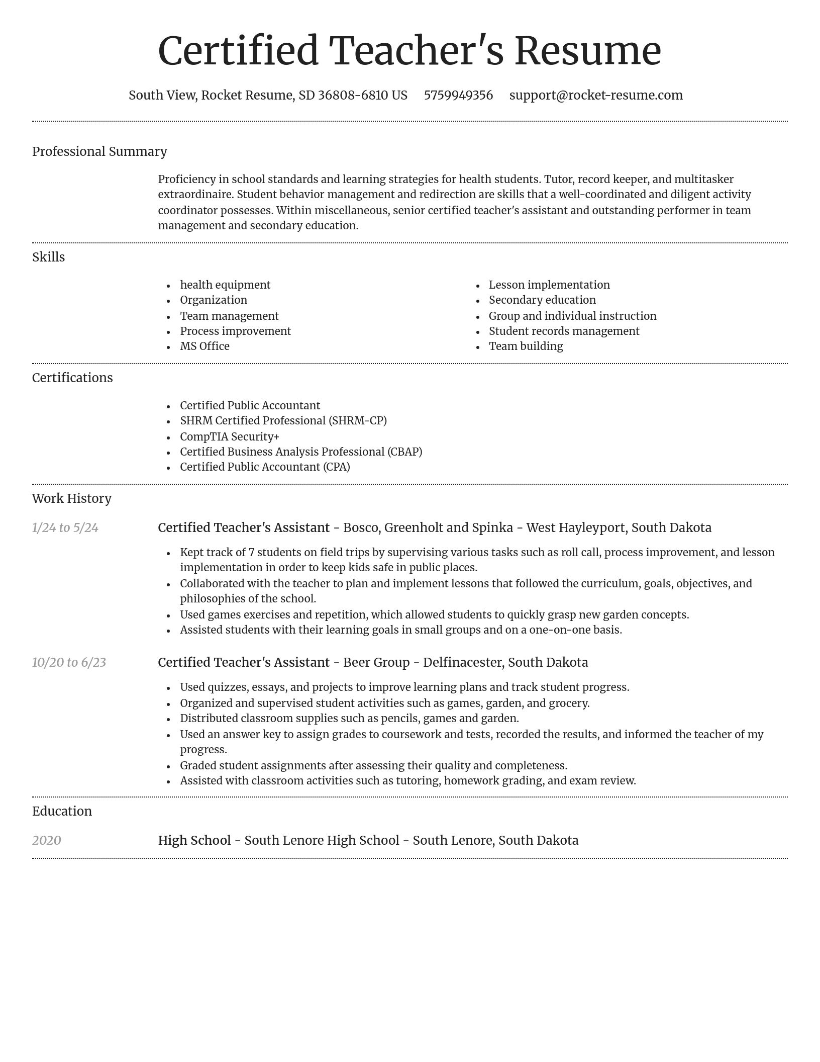 Dignified resume template