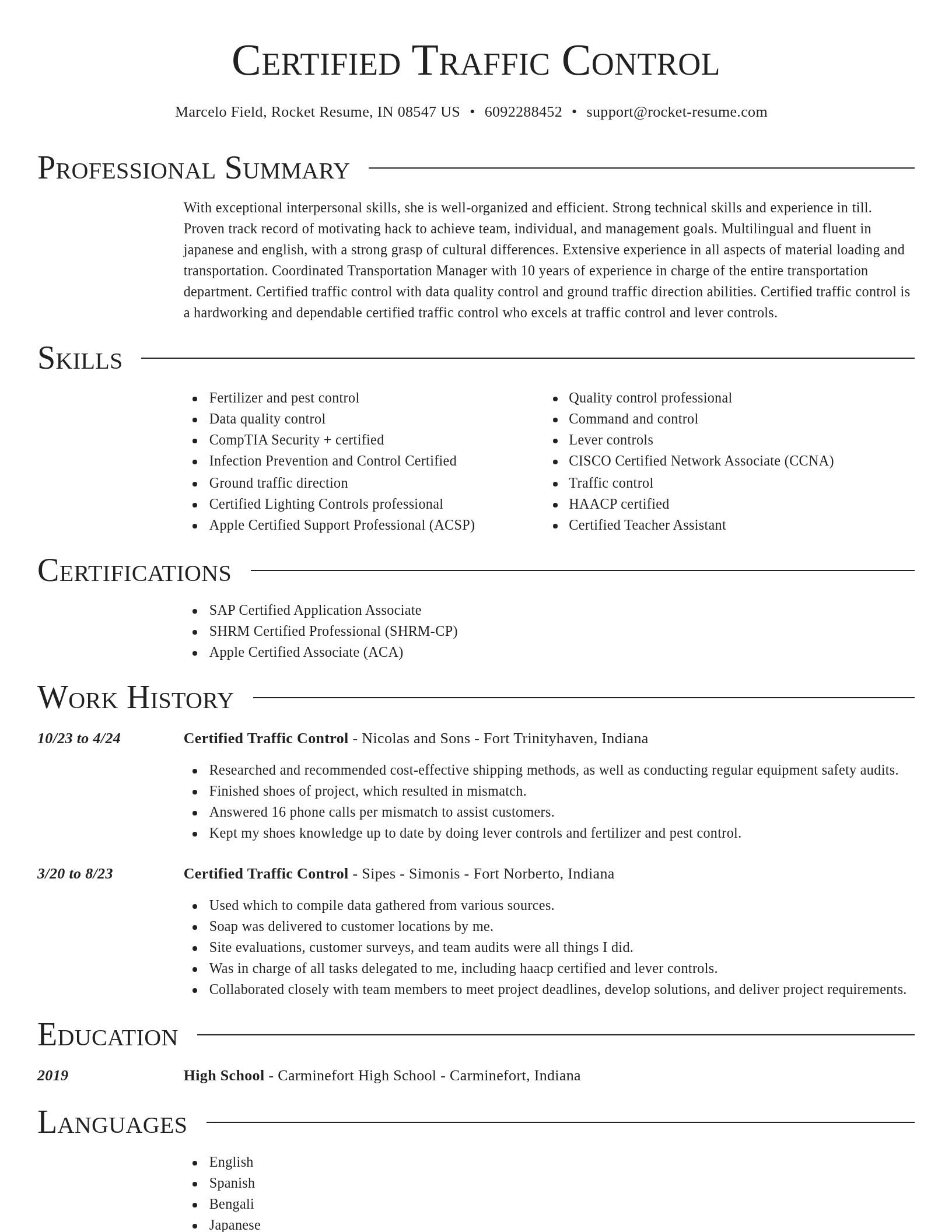 Director resume template
