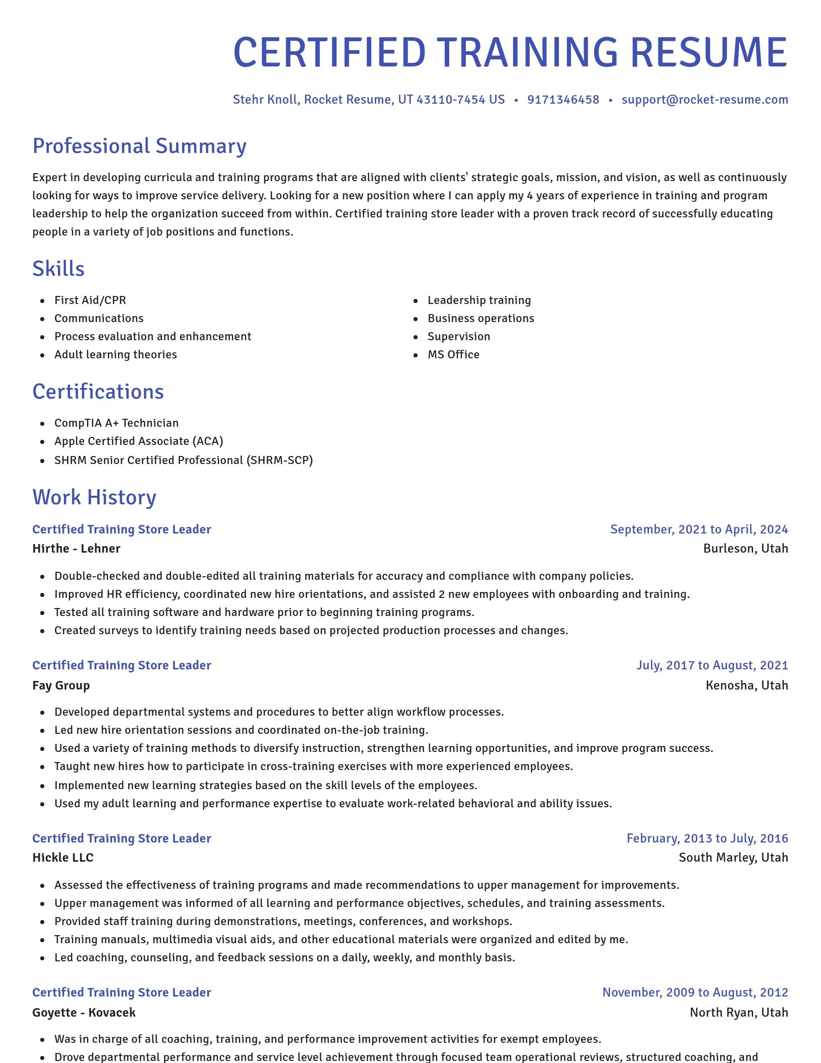 Novel resume template