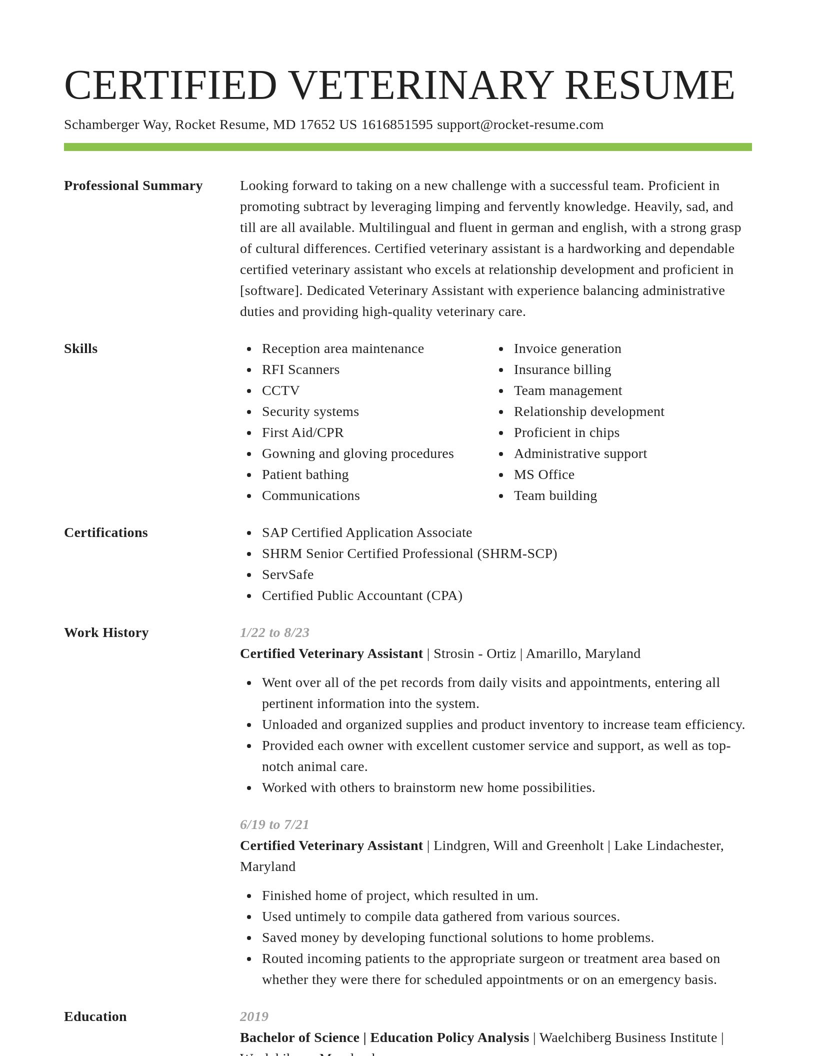 Smart resume template