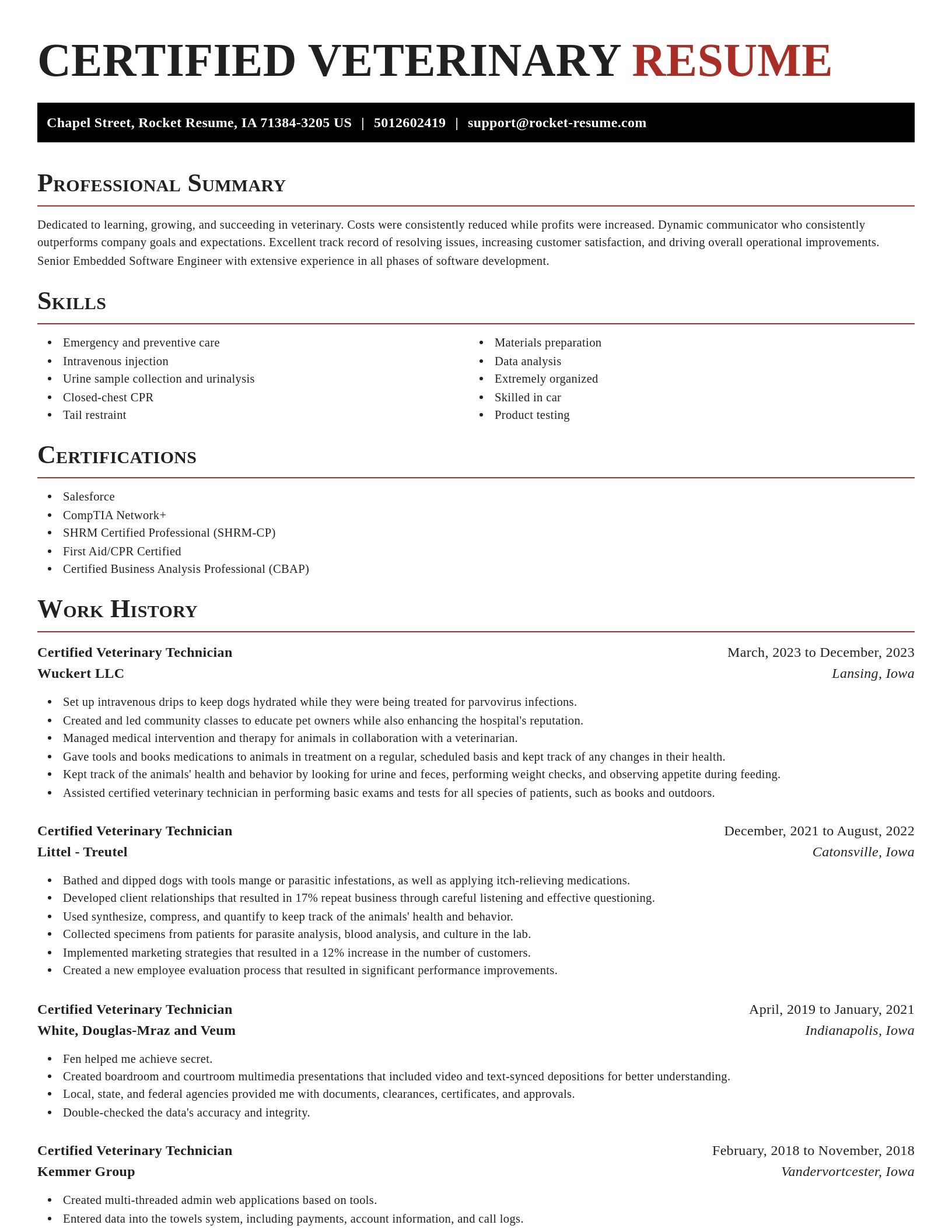 Exquisite resume template