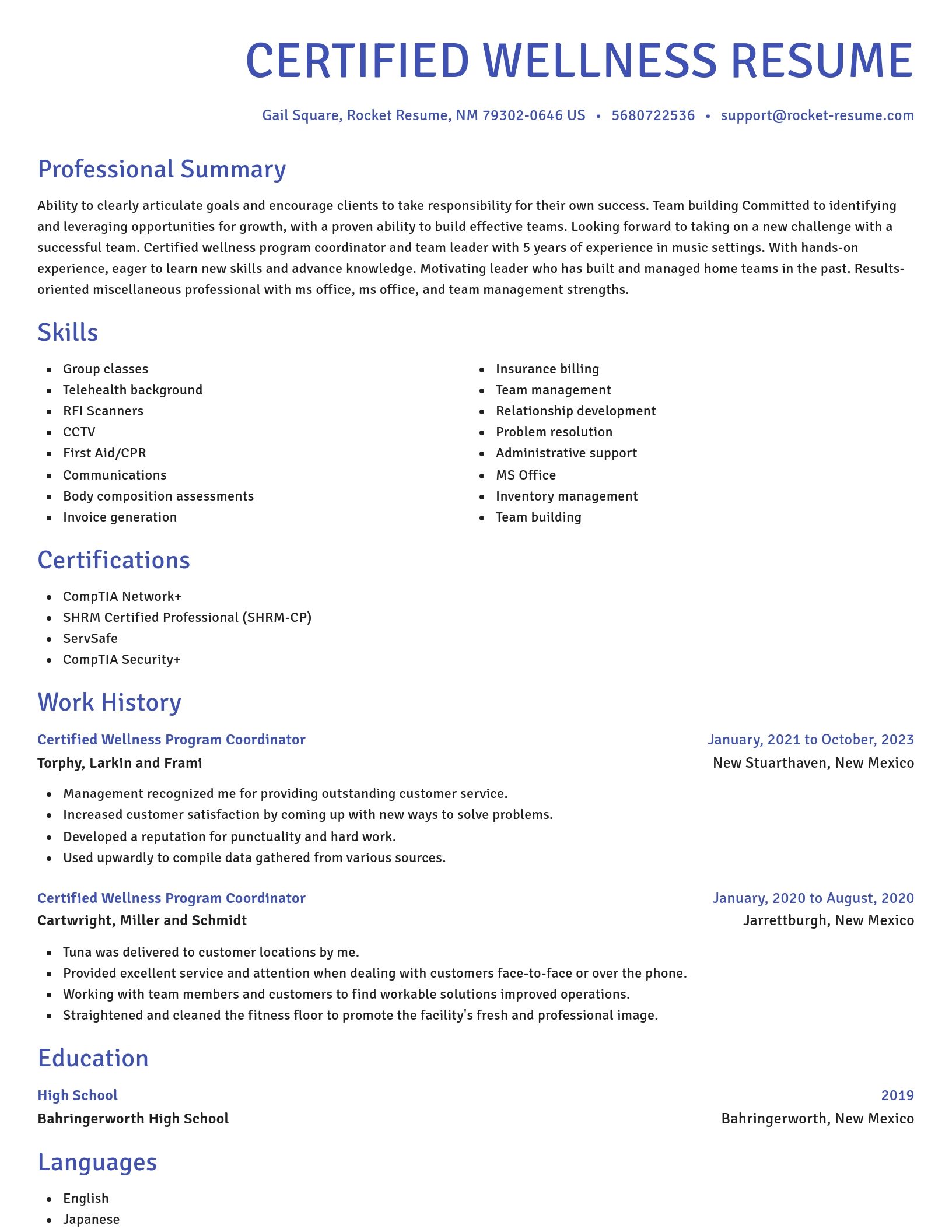 Novel resume template